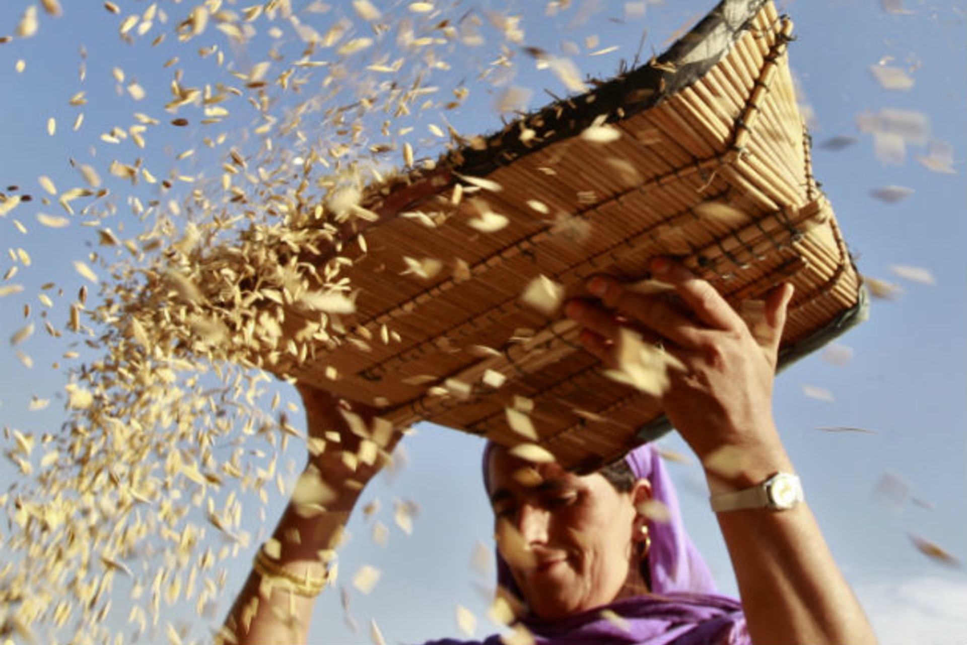 Woman-farmer-female-agriculture-development-economic-empowerment-potential-Kashmir