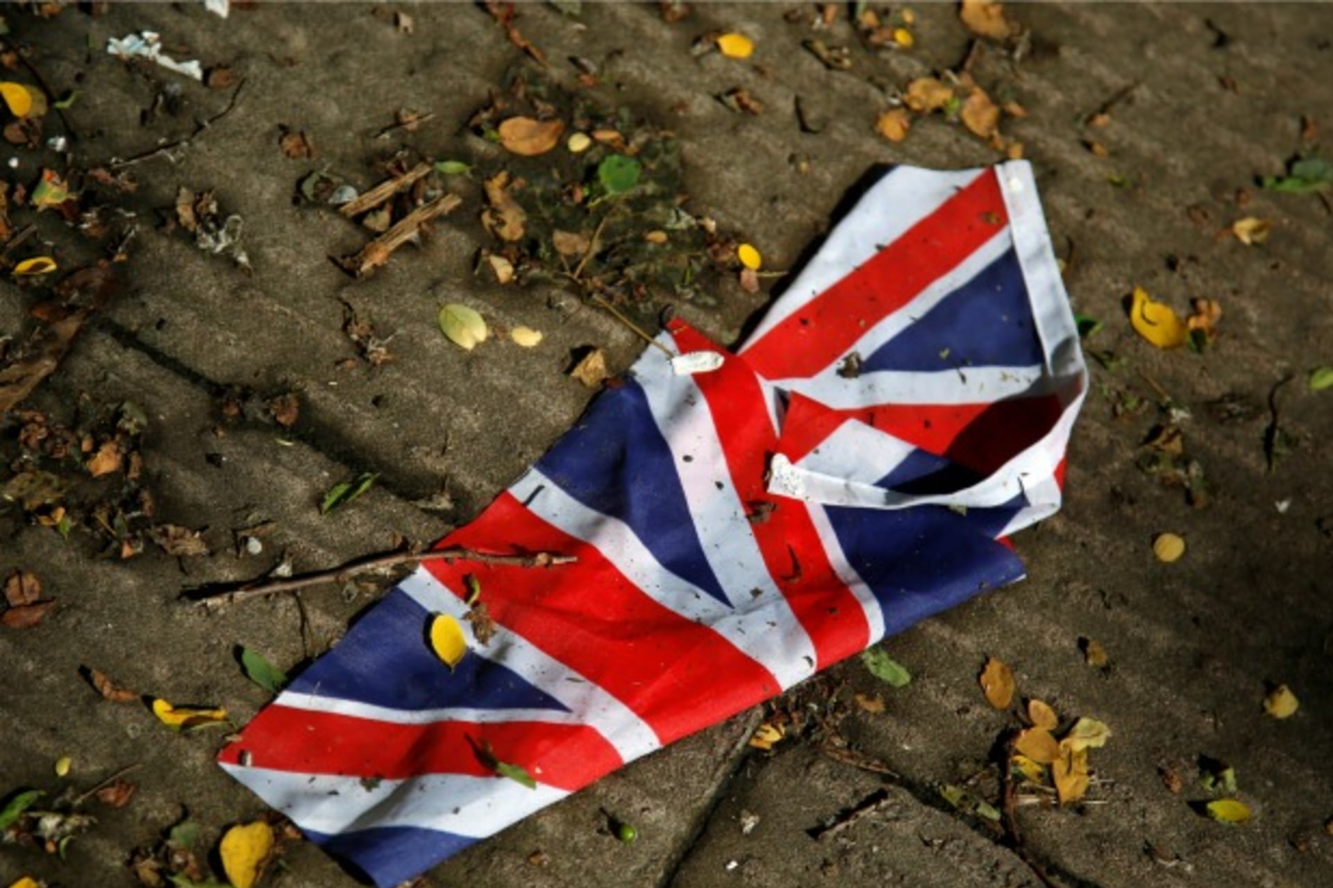 <p>CFR Cyber net politics brexit</p>
