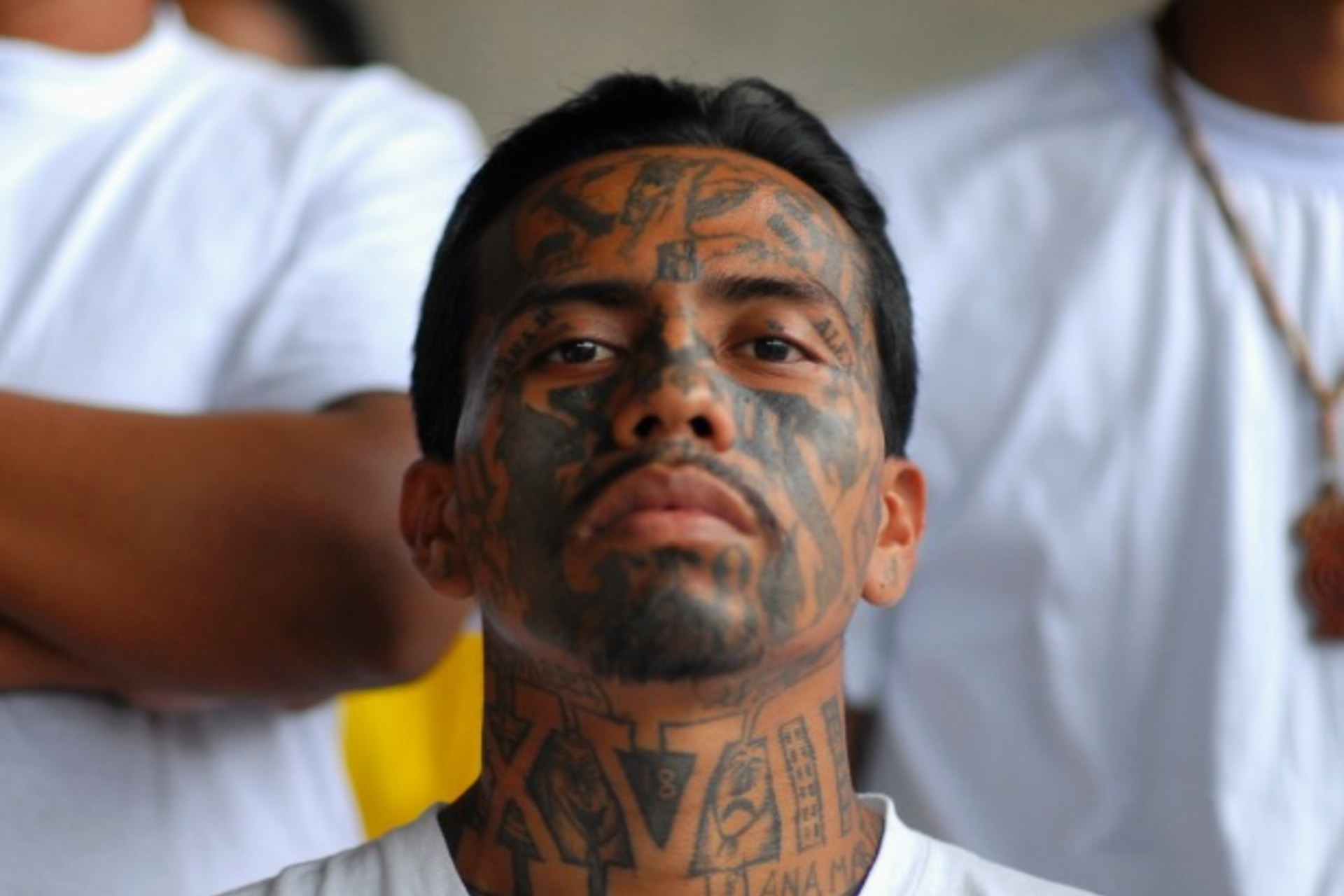 <p>CFR Cyber Net Politics</p>
