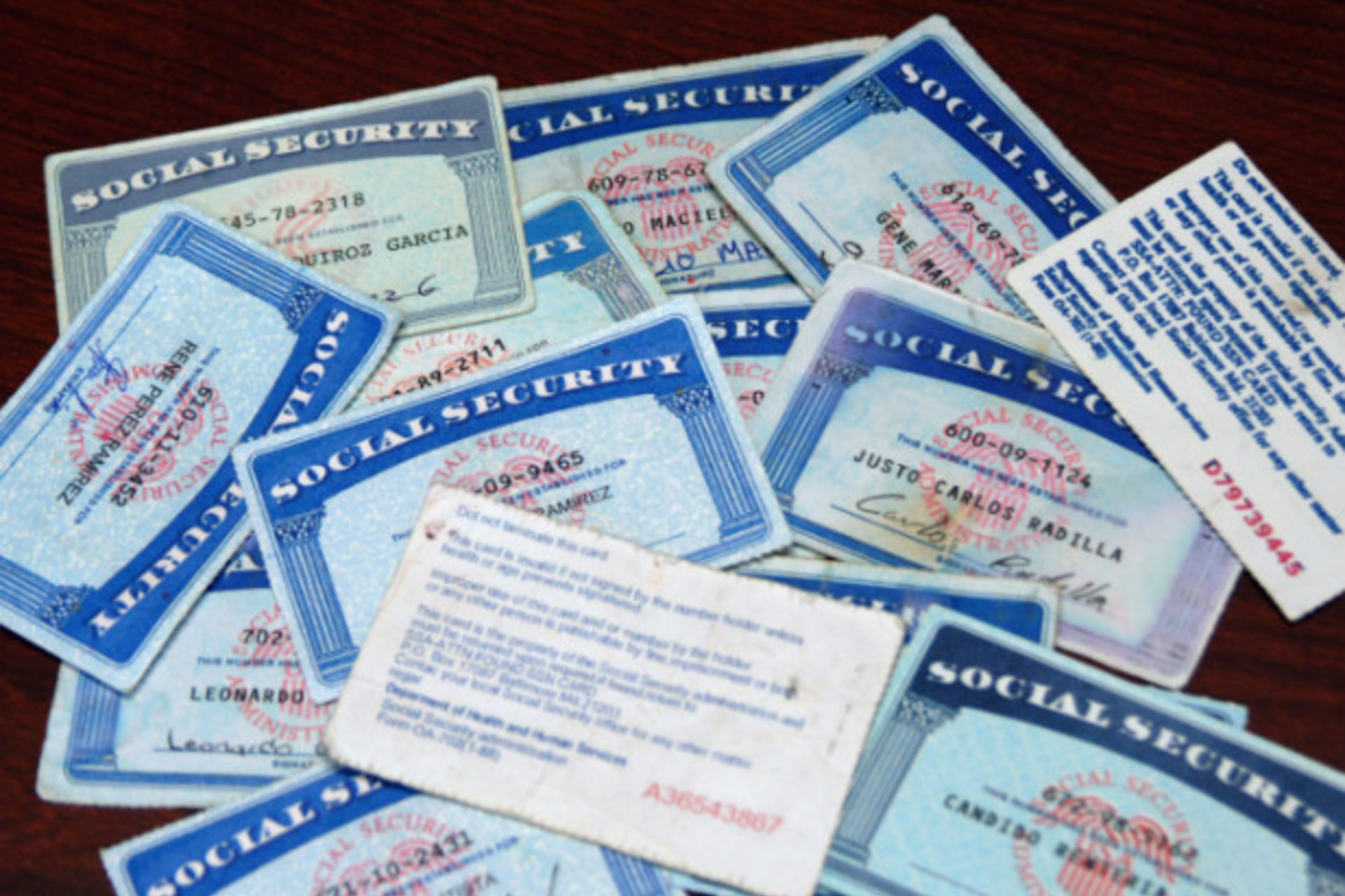<p>Counterfeit Social Security cards that were confiscated by Immigration and Customs Enforcement agents. (ICE Handout/Courtesy Reuters)</p>