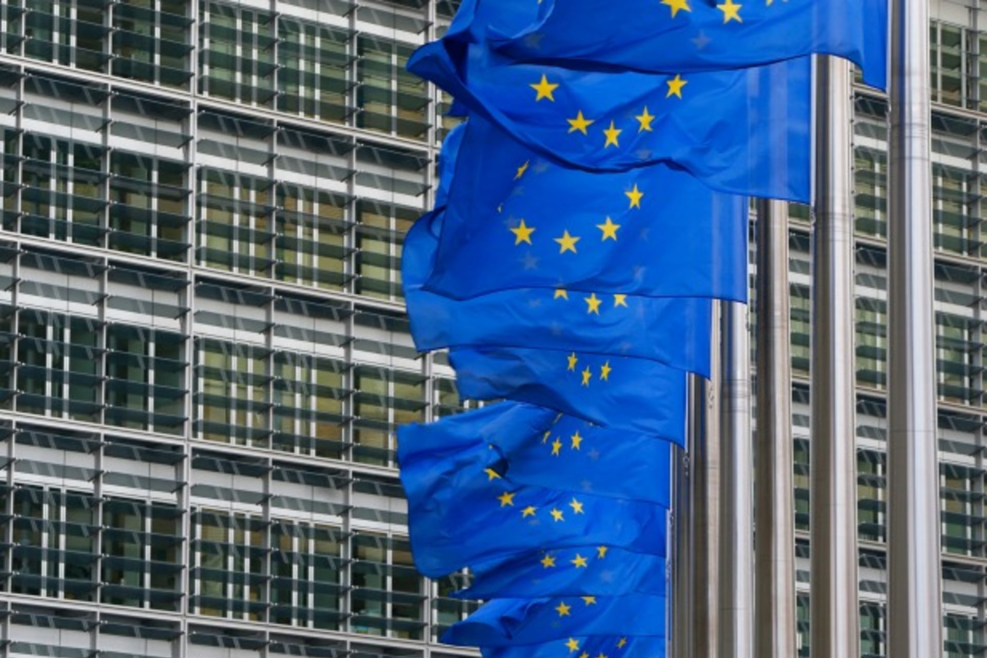 <p>EU Digital Single Market Strategy Net Politics CFR Fidler</p>
