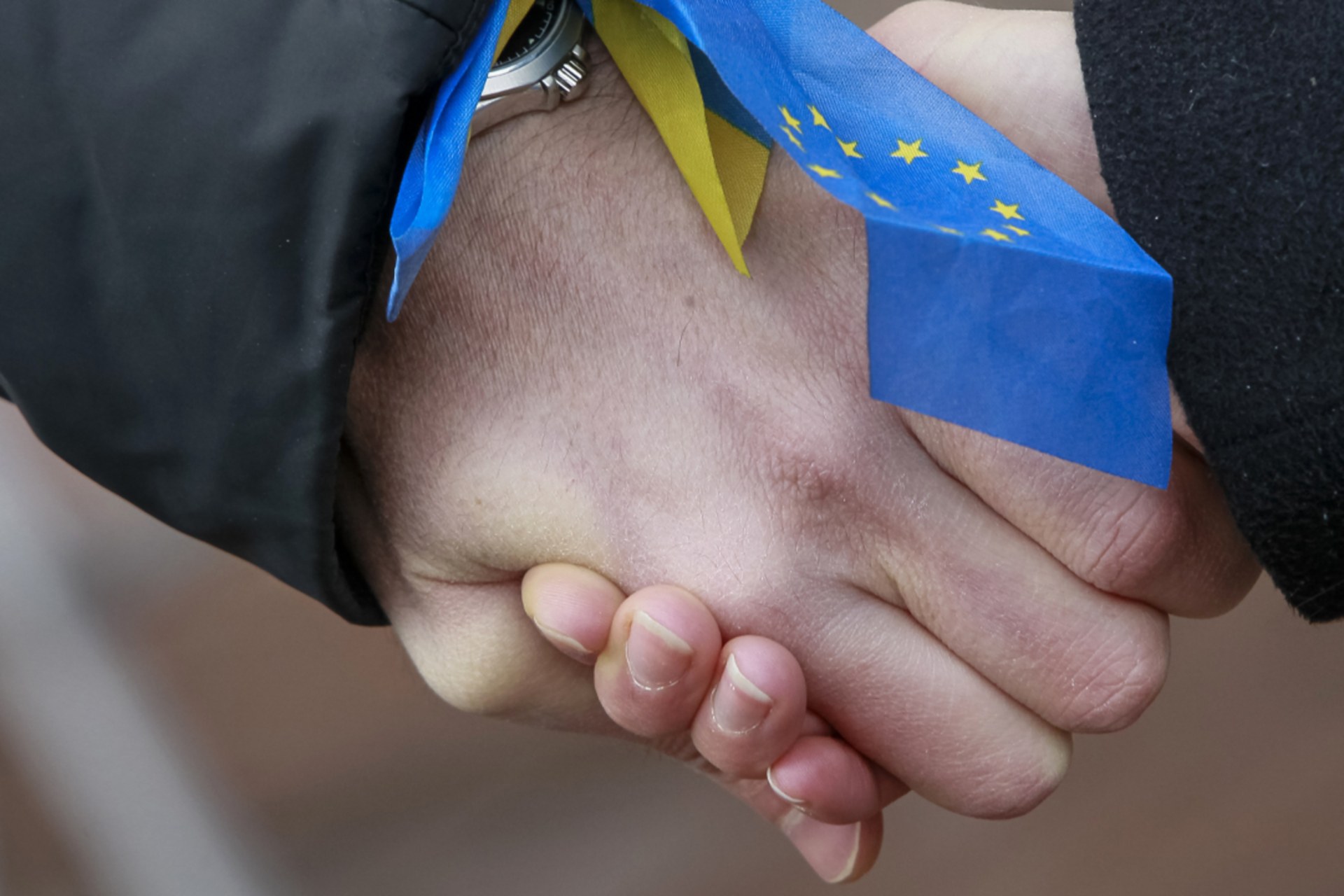<p>Students stand on a street and hold hands to form a human chain from the Ukrainian capital to the western border during a demonstration in support of EU integration.</p>

