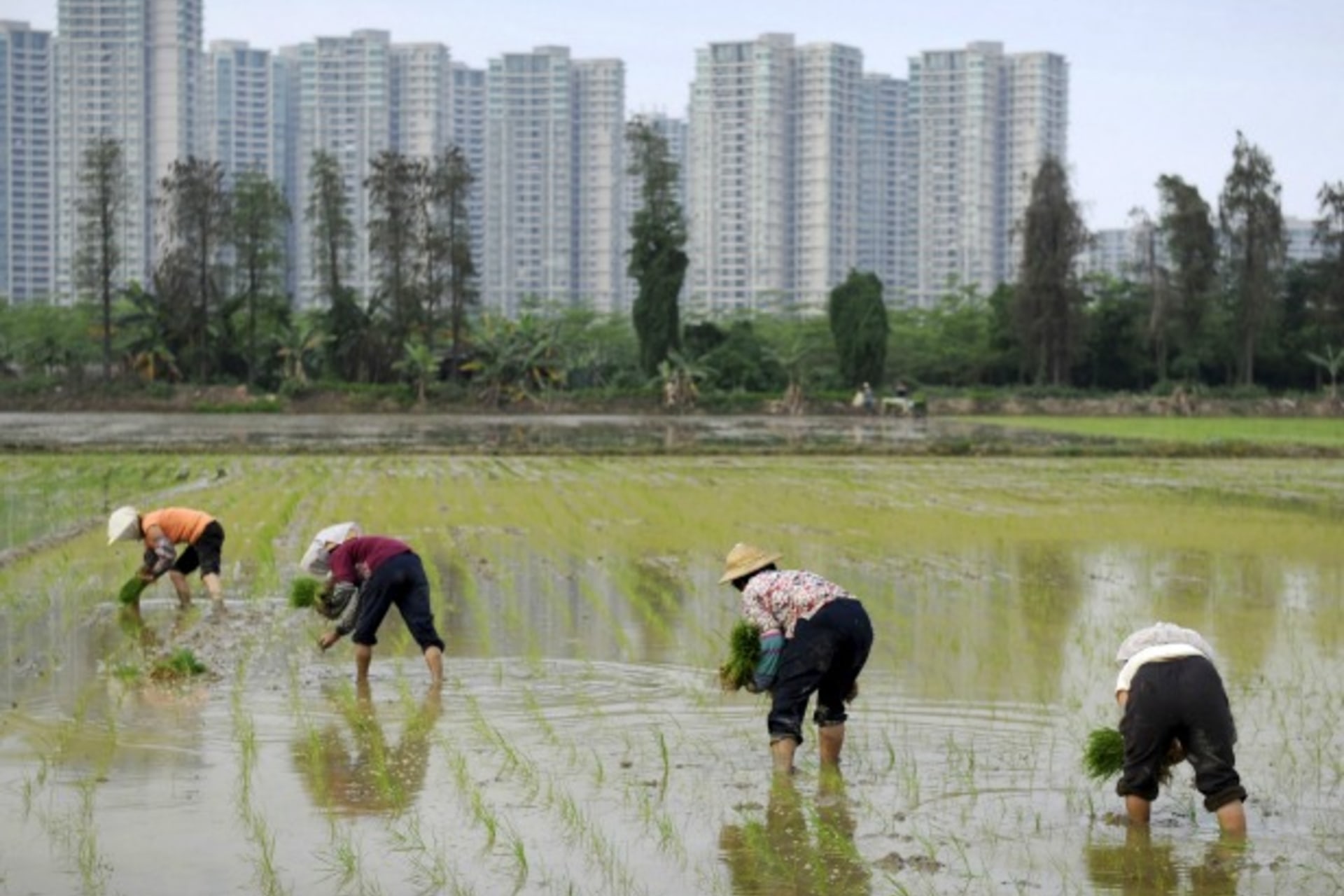 <p>china rural villages migrants migrant workers migration entrepreneurship small business entrepreneur policy</p>
