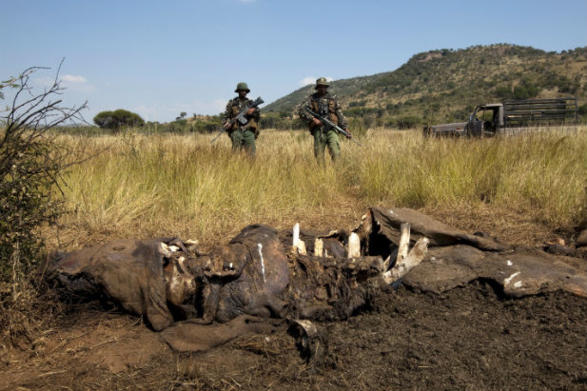 Members of the Pilanesberg National Park Anti-Poaching Unit (APU) stand guard as conservationists and police investigate the scene of a rhino poaching incident April 19, 2012.