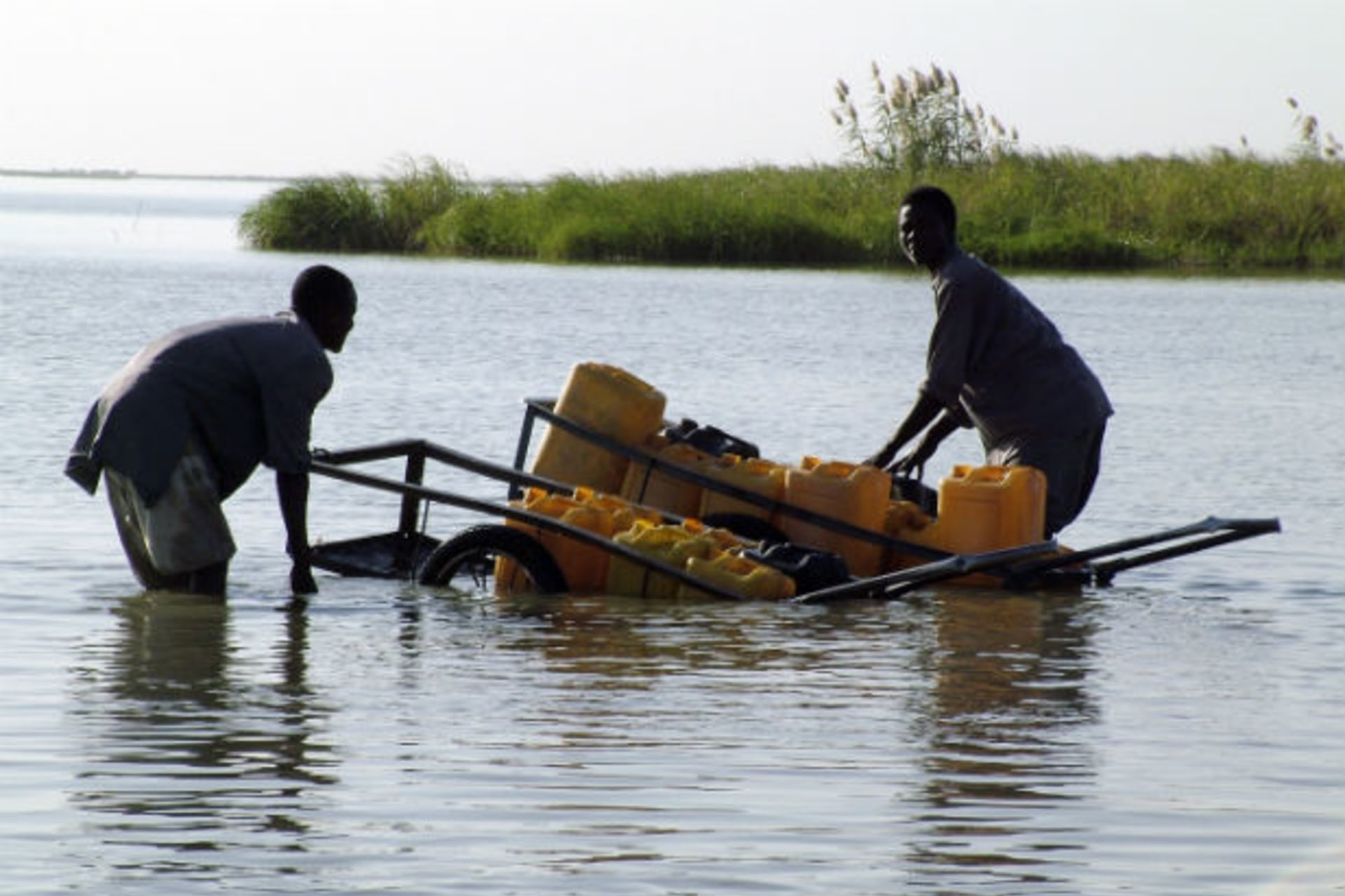 Chadian men collect water with plastic canisters loaded on a hand cart in Lake Chad, on the island of Kouirom, January 27, 2007.