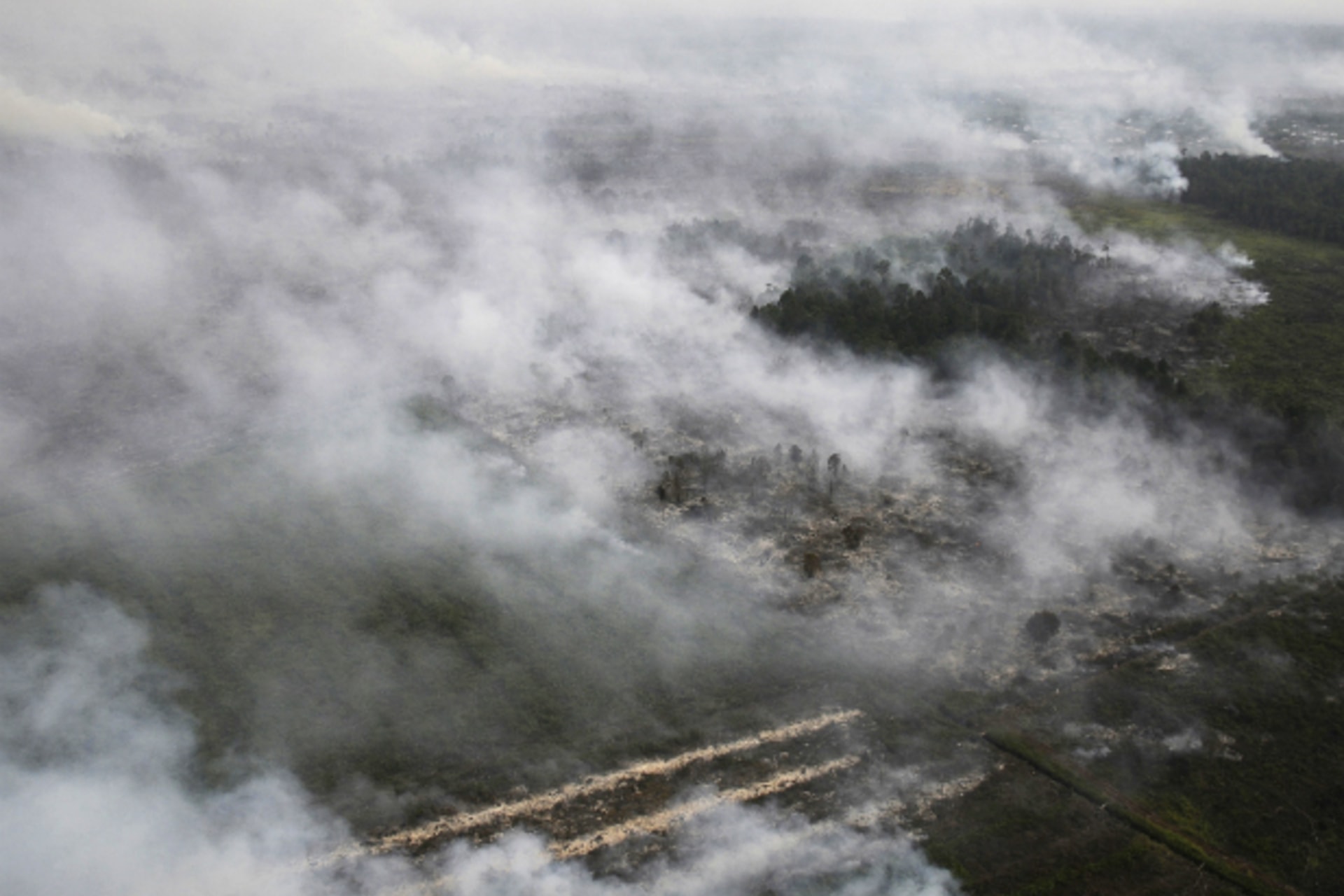 <p>An aerial view of burning lands in Palalawan district in Riau province June 21, 2013.</p>
