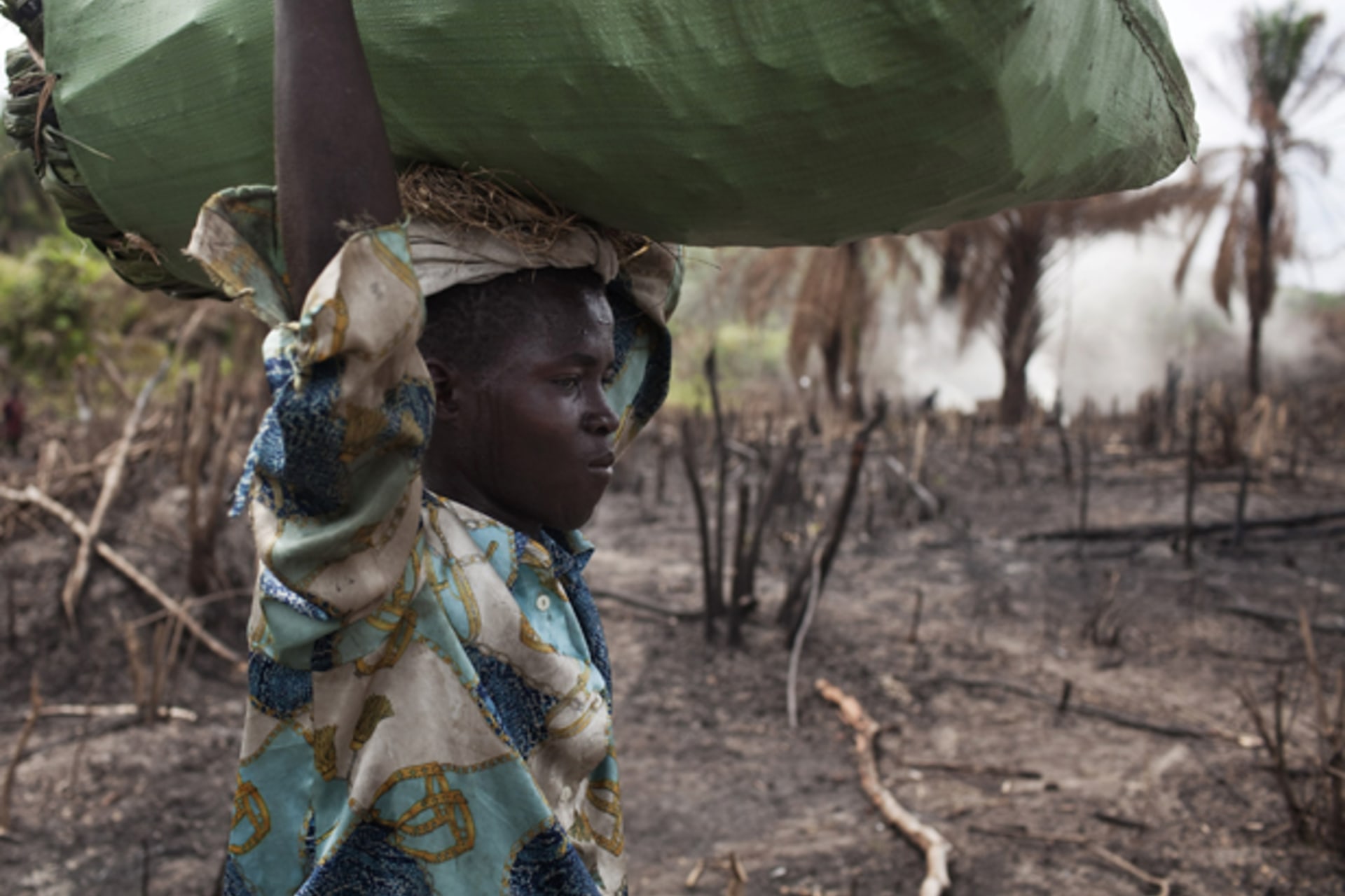 A worker carries charcoal through a slashed and burned area in eastern Sierra Leone