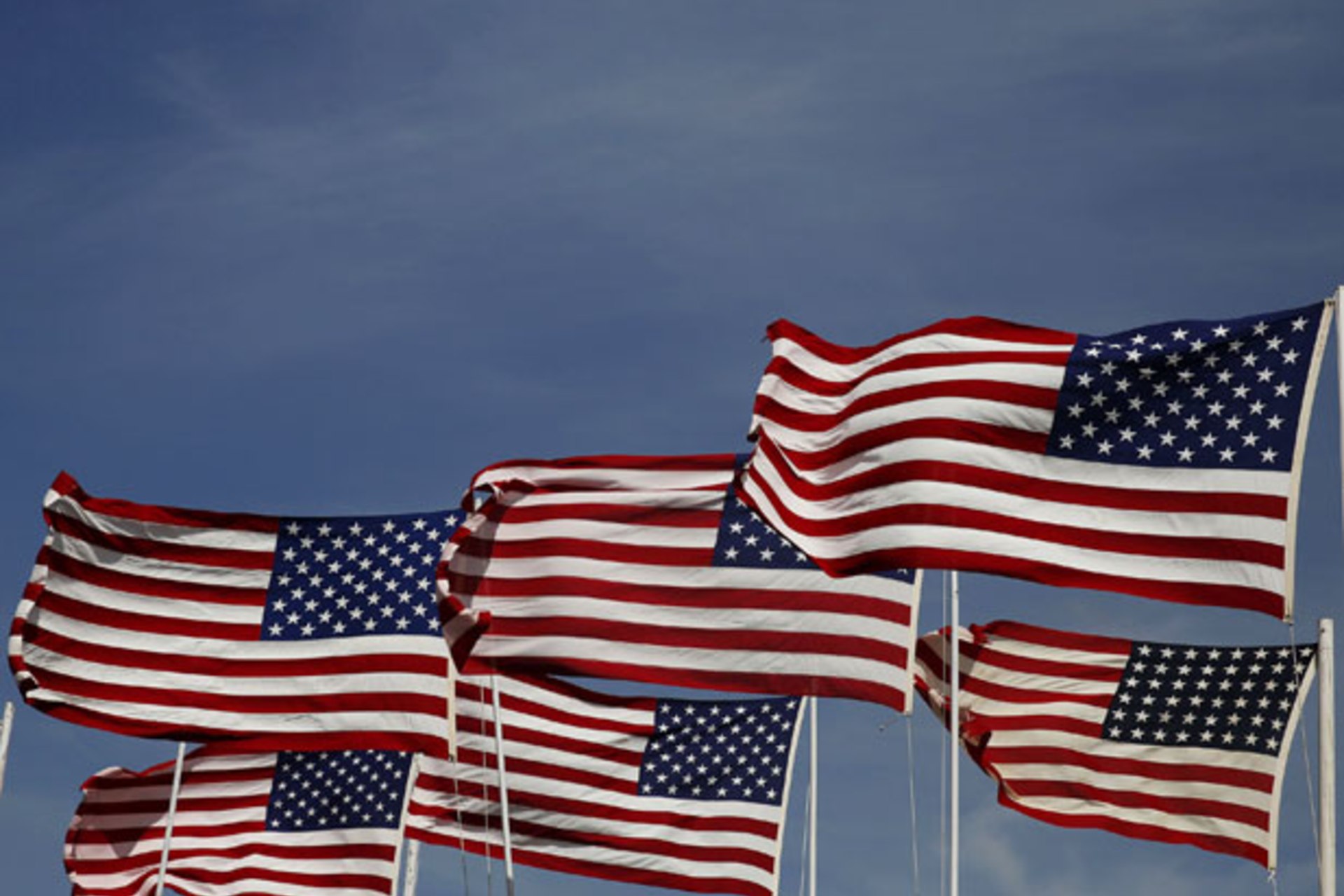 <p>American Public Opinion</p>
