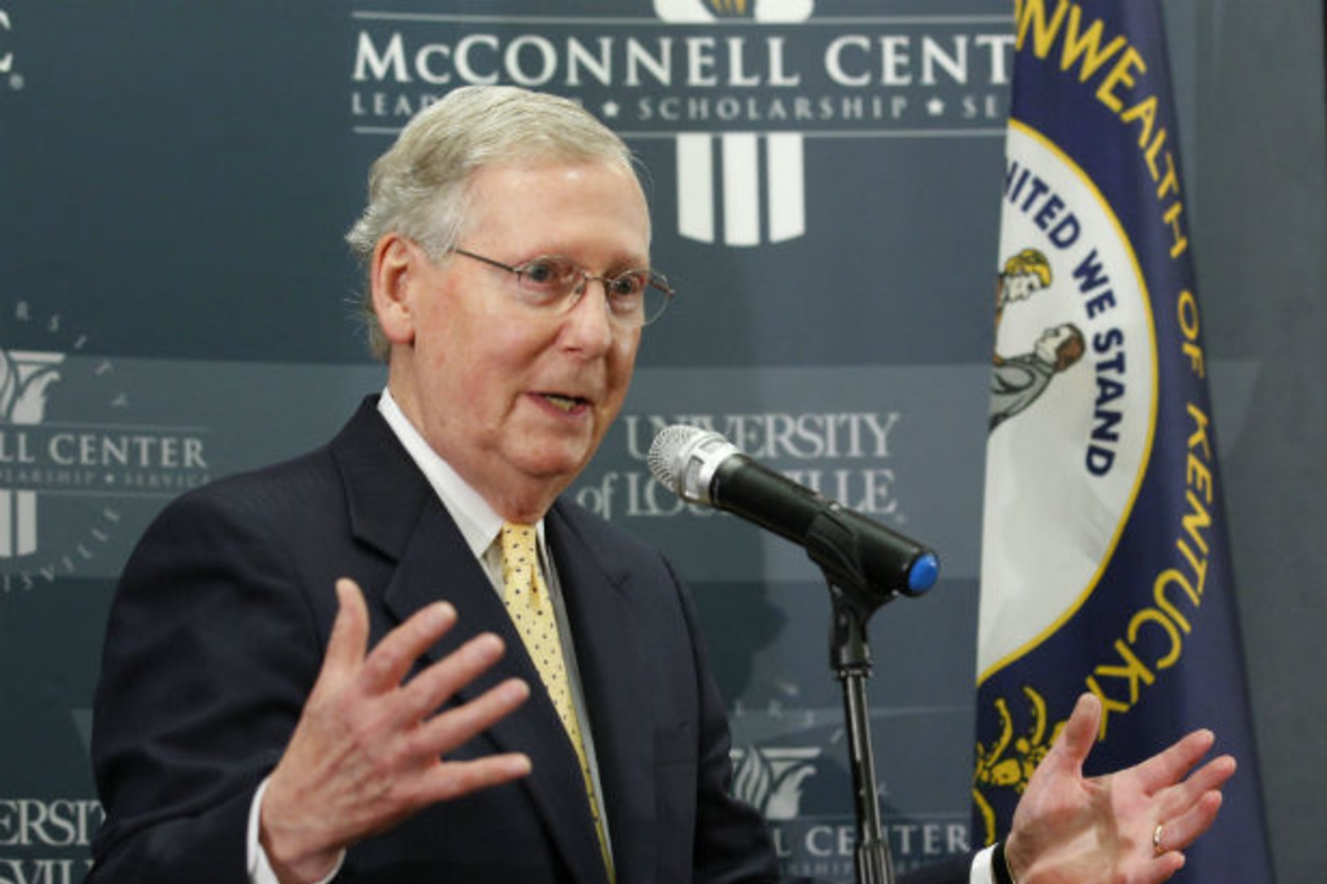<p>U.S. Senate Minority Leader Mitch McConnell holds a news conference on the day after he was re-elected to the U.S. Senate at the University of Louisville in Louisville, Kentucky, on November 5, 2014.</p>
