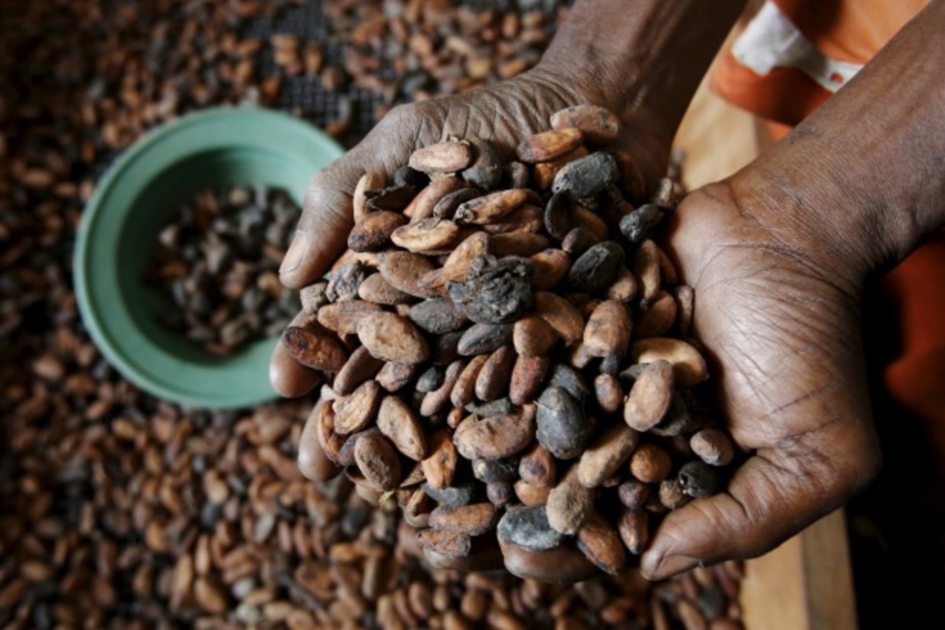Ivory Coast Cocoa