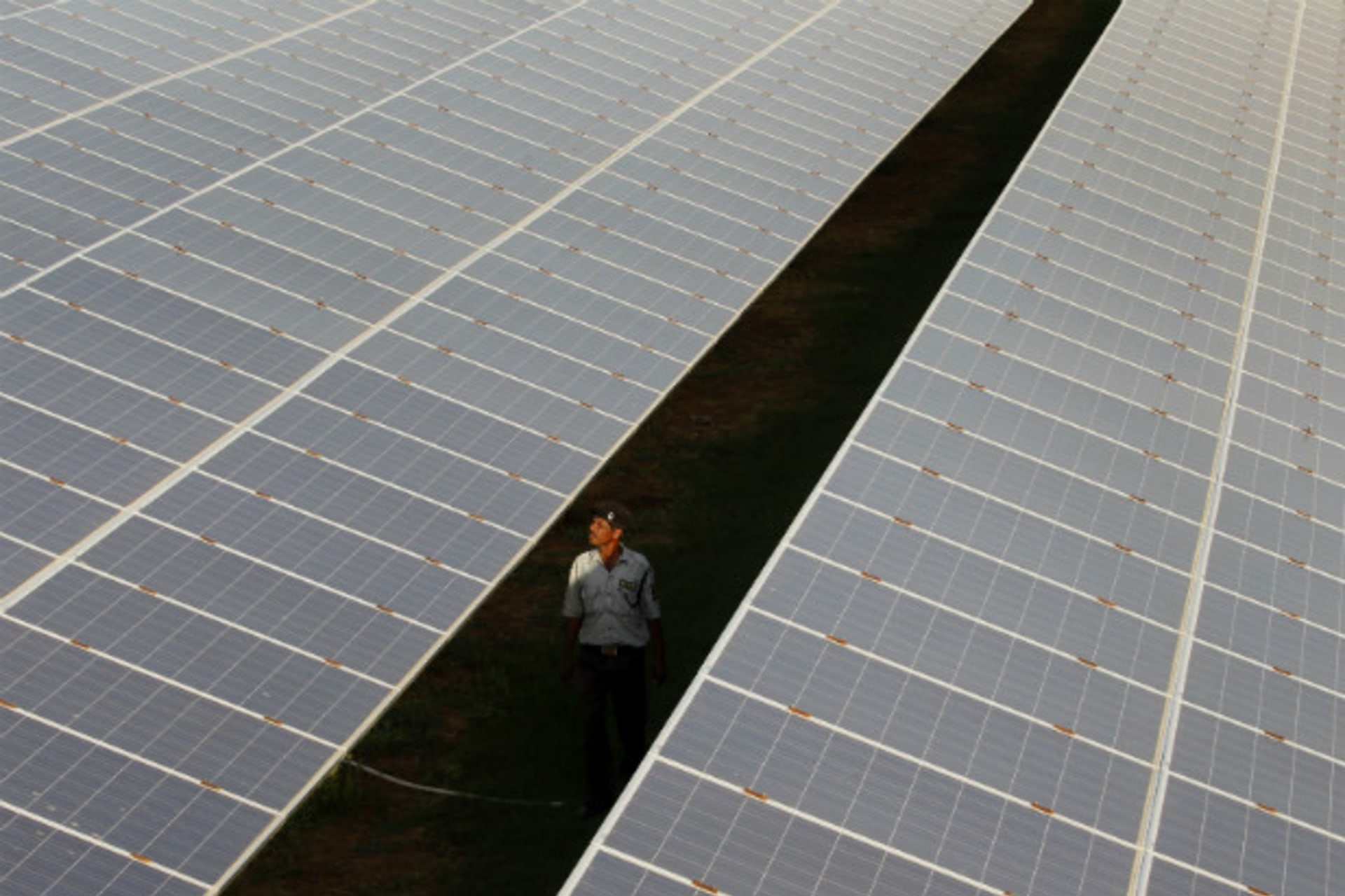 <p>A private security guard walks between rows of photovoltaic solar panels inside a solar power plant at Raisan village in Gujarat (Reuters/Amit Dave)</p>

