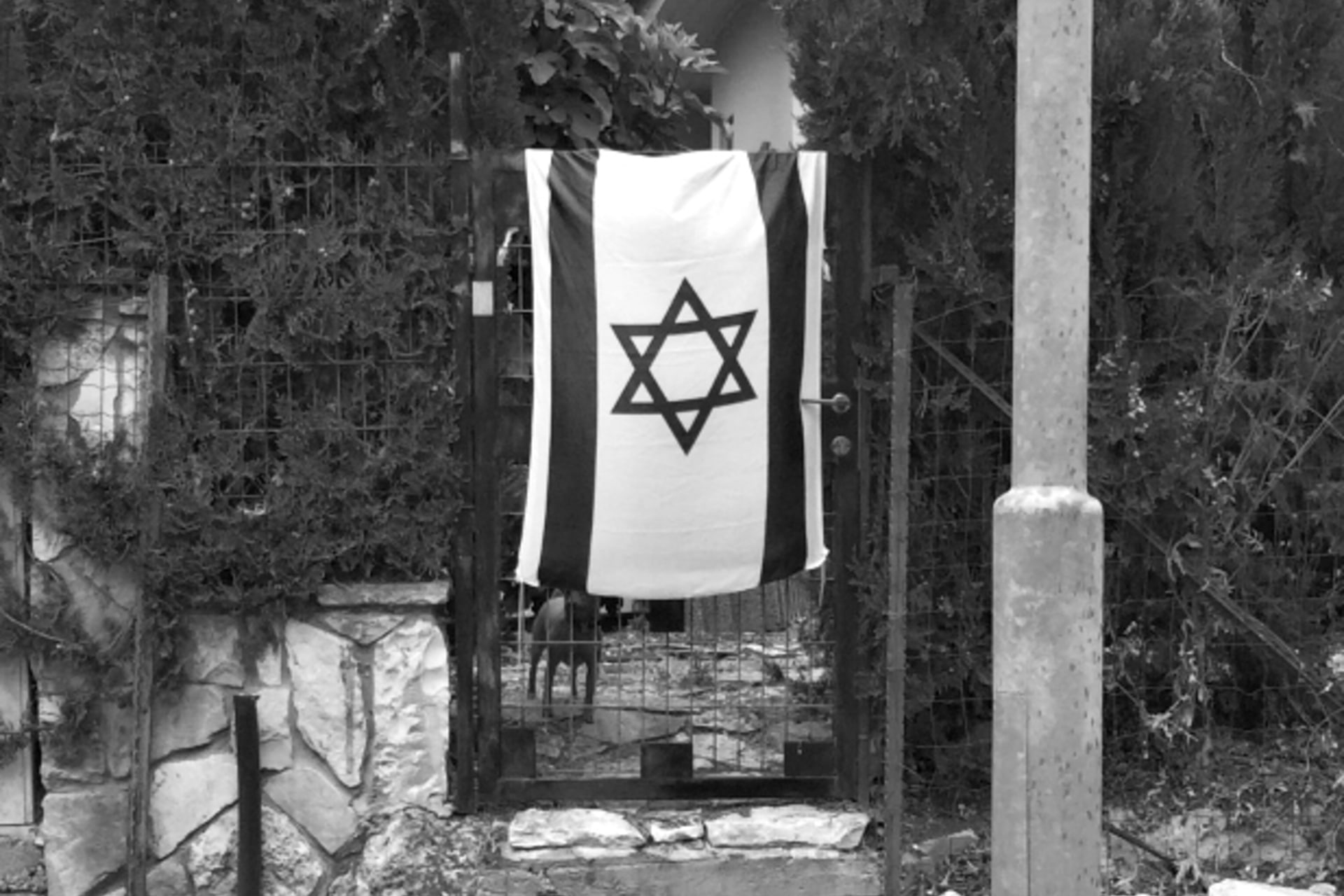 <p>(Photo by Steven A. Cook).</p>
