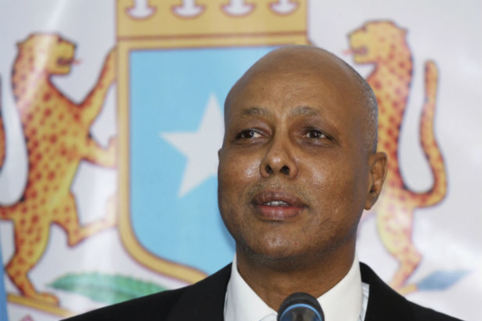 Somalia's new Prime Minister Abdiweli Sheikh Ahmed delivers his speech at the Parliament Building in Mogadishu December 21, 2013.
