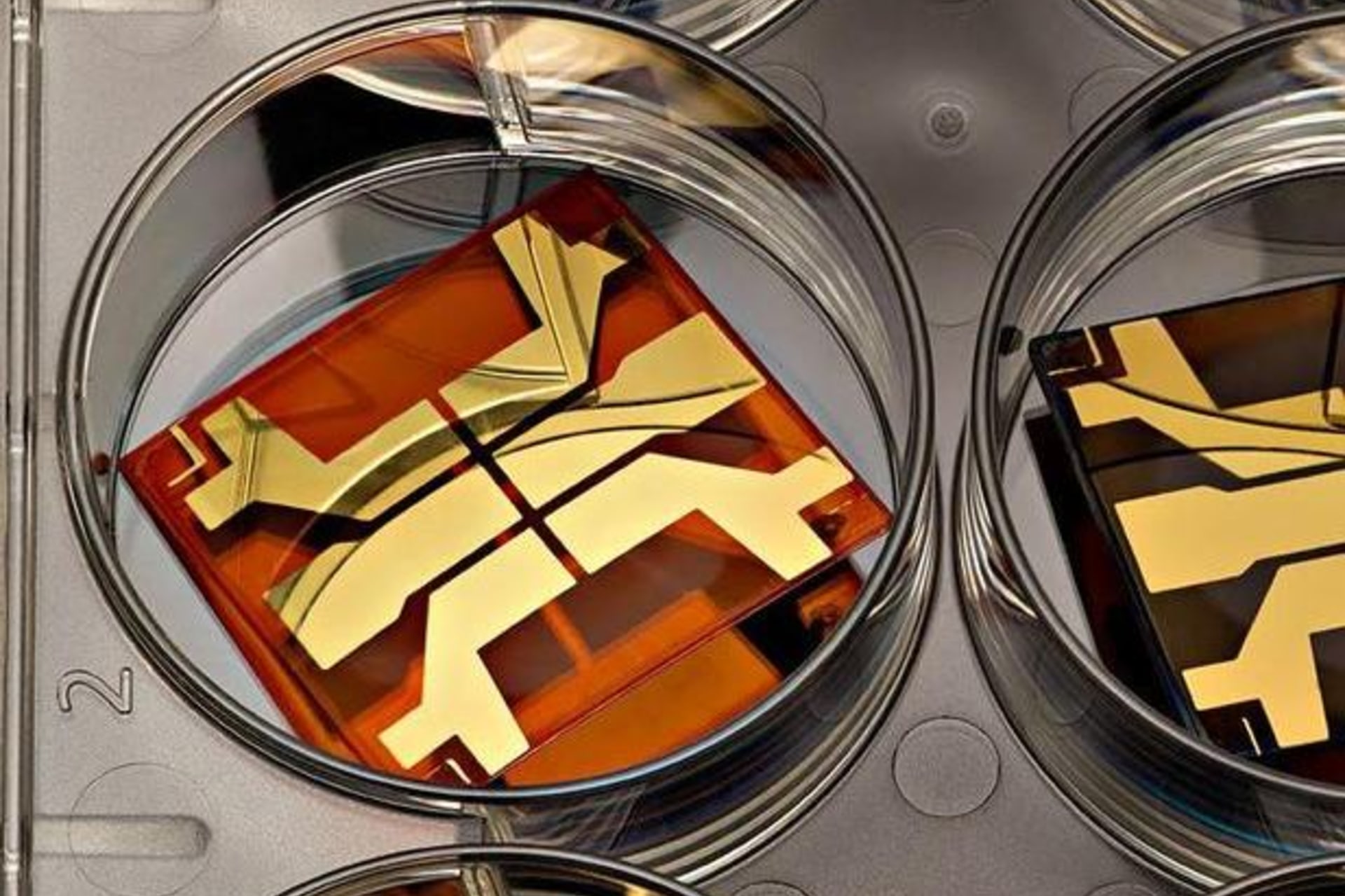 <p>Solar perovskite cells, patterned with gold electrodes, await tests that measure their efficiency at converting sunlight into electricity</p>