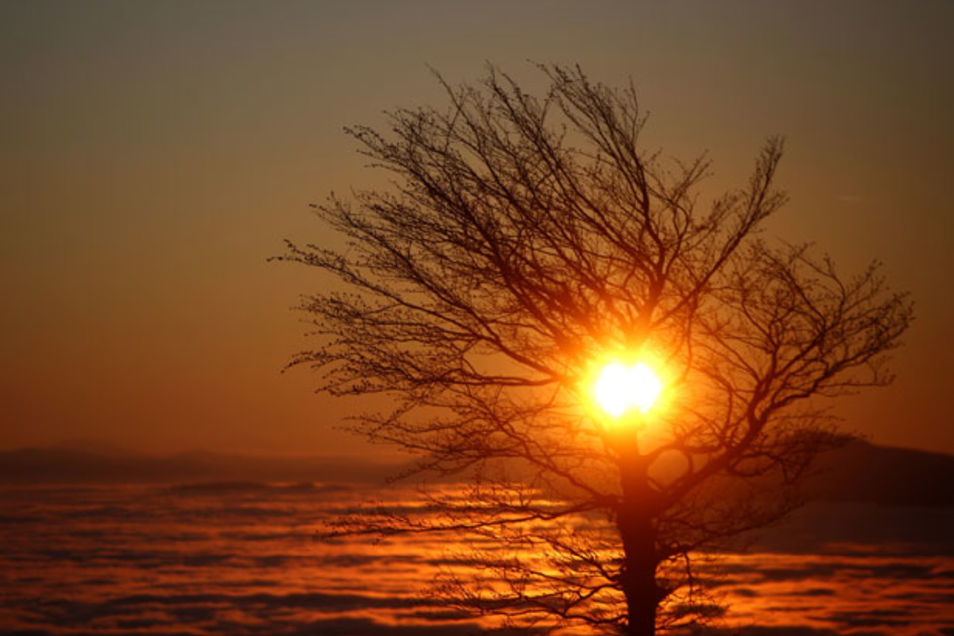 <p>World Figures Obituaries 2014 Sunset</p>