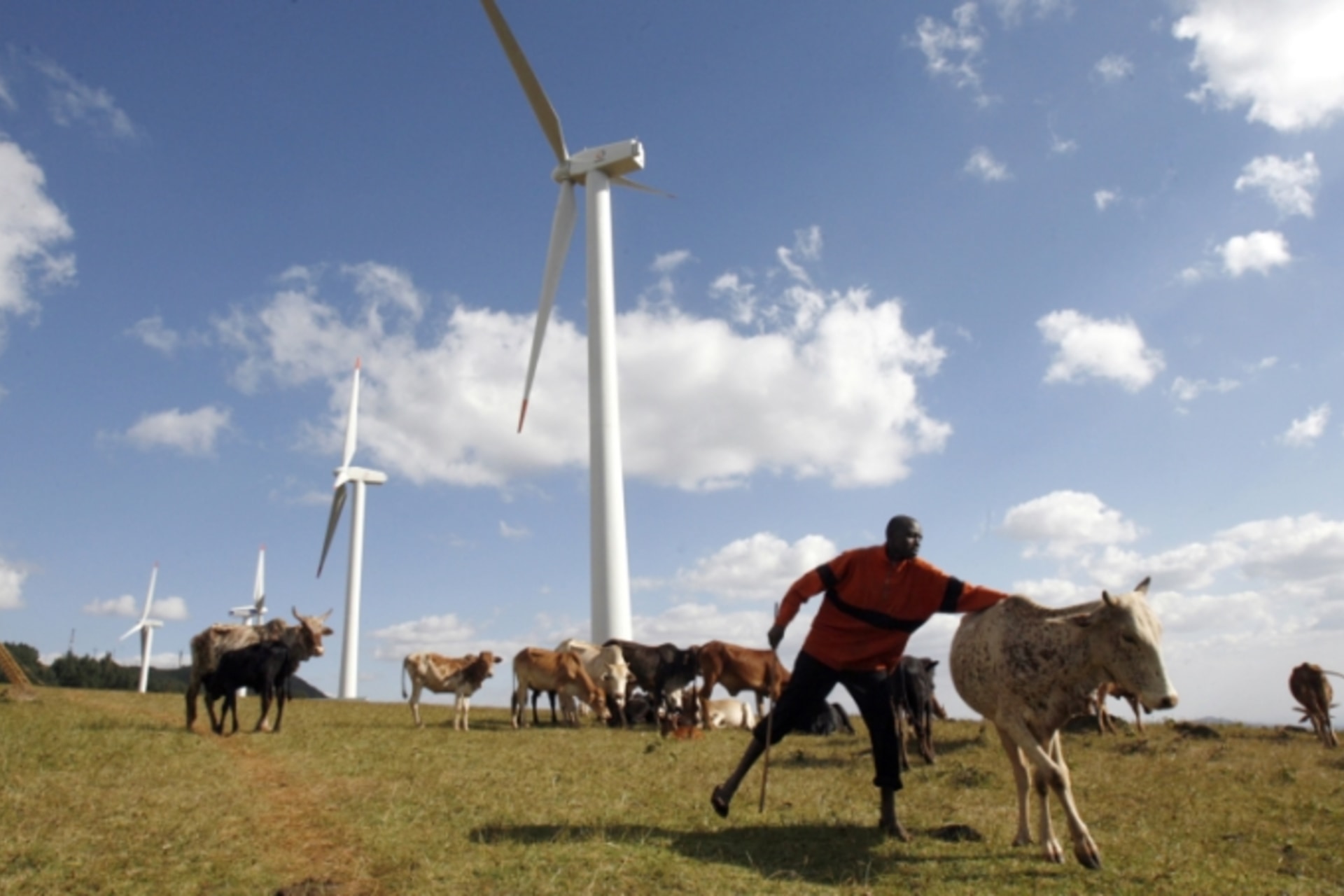 Kenya_Wind_Farm_Final