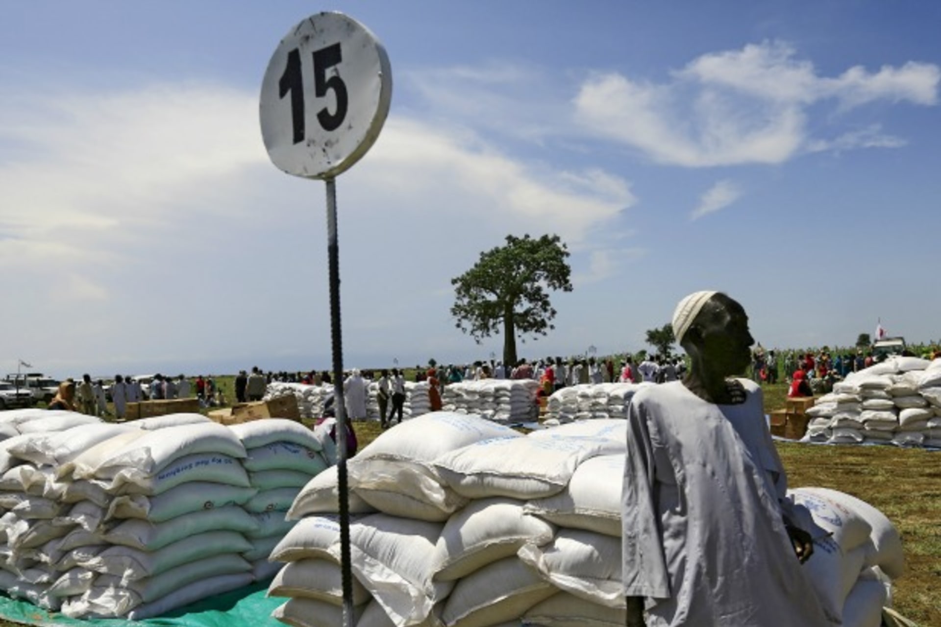 displaced-populations