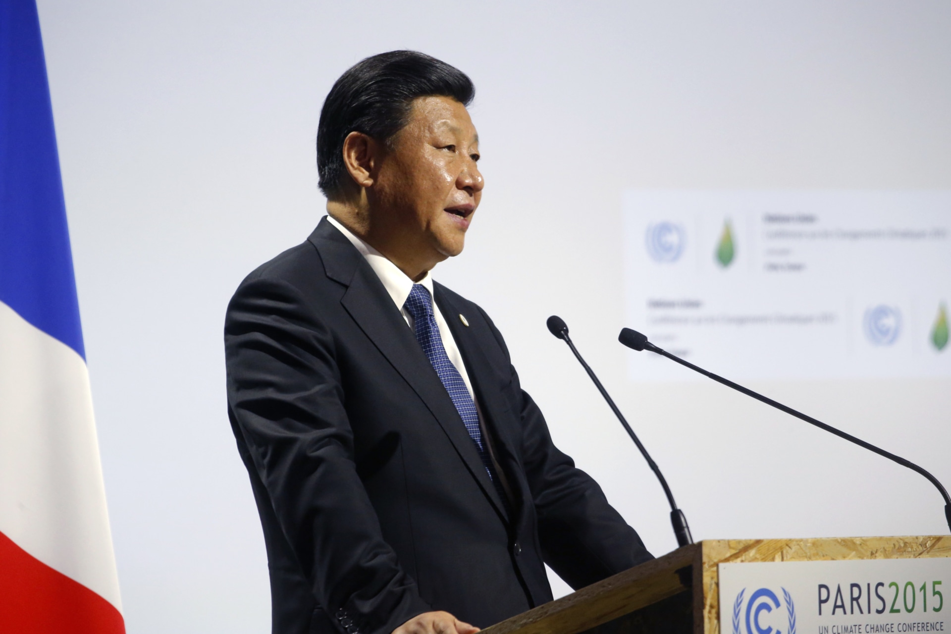 <p>China; Climate Change; COP21</p>
