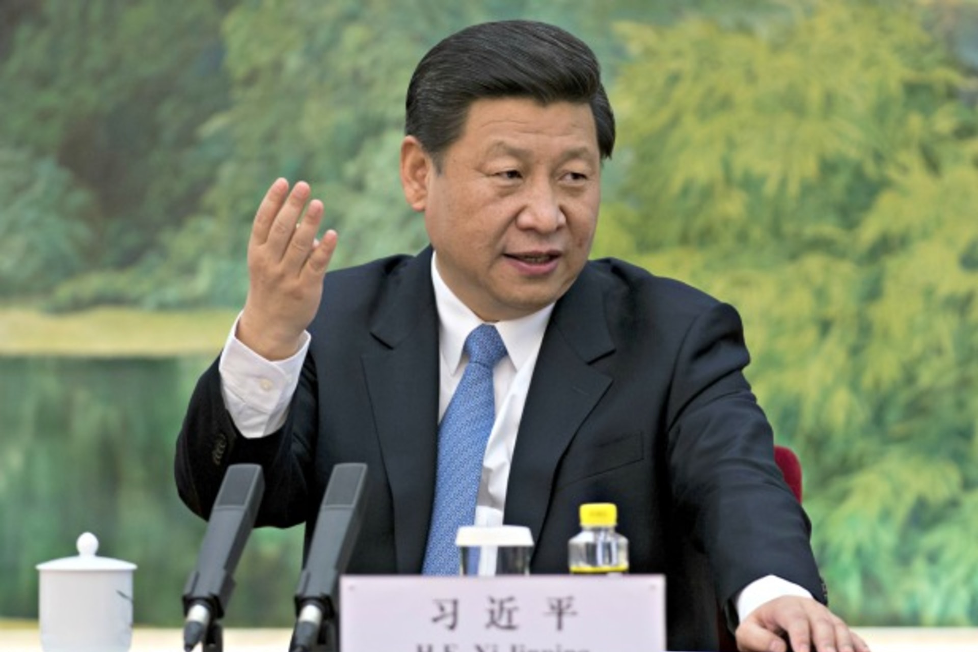 <p>China’s newly appointed leader Xi Jinping attends a meeting with foreign experts at the Great Hall of the People in Beijing on December 5, 2012.</p>