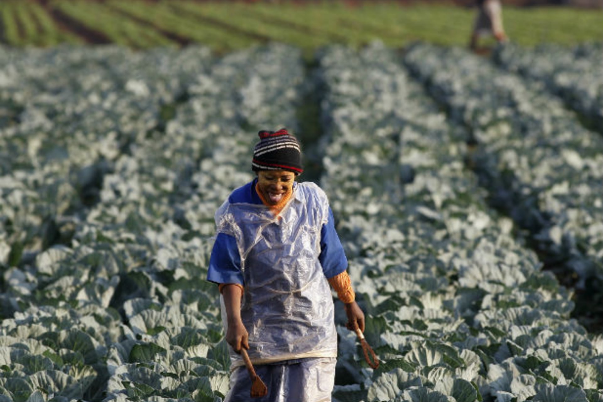 A worker walks between rows of vegetables at a farm in Eikenhof, south of Johannesburg, April 24, 2012.