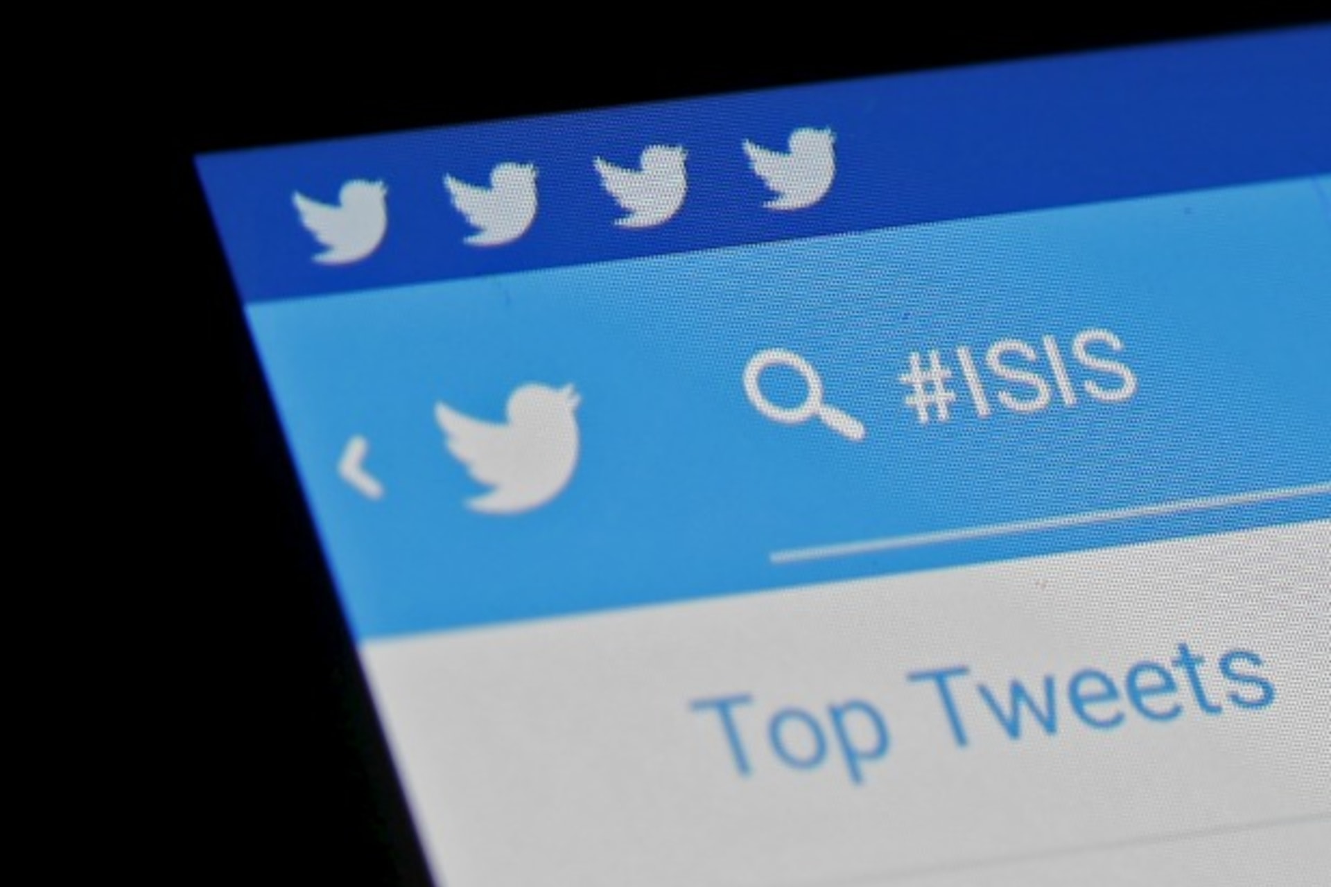 ISIS Social Media Cyber Net Politics