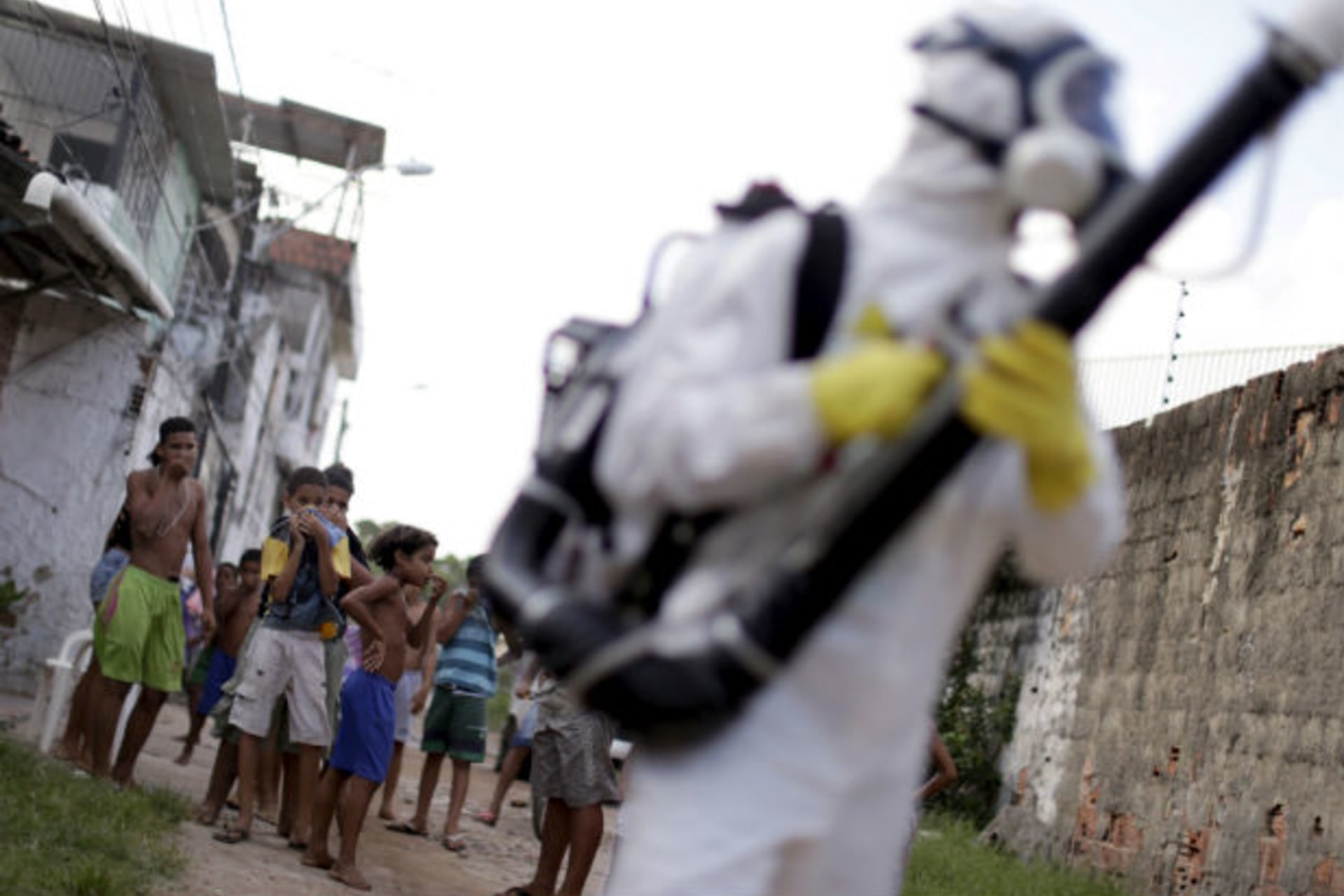 <p>Children watch a municipal worker spray insecticide in Recife, Brazil, on January 26, 2016.</p>
