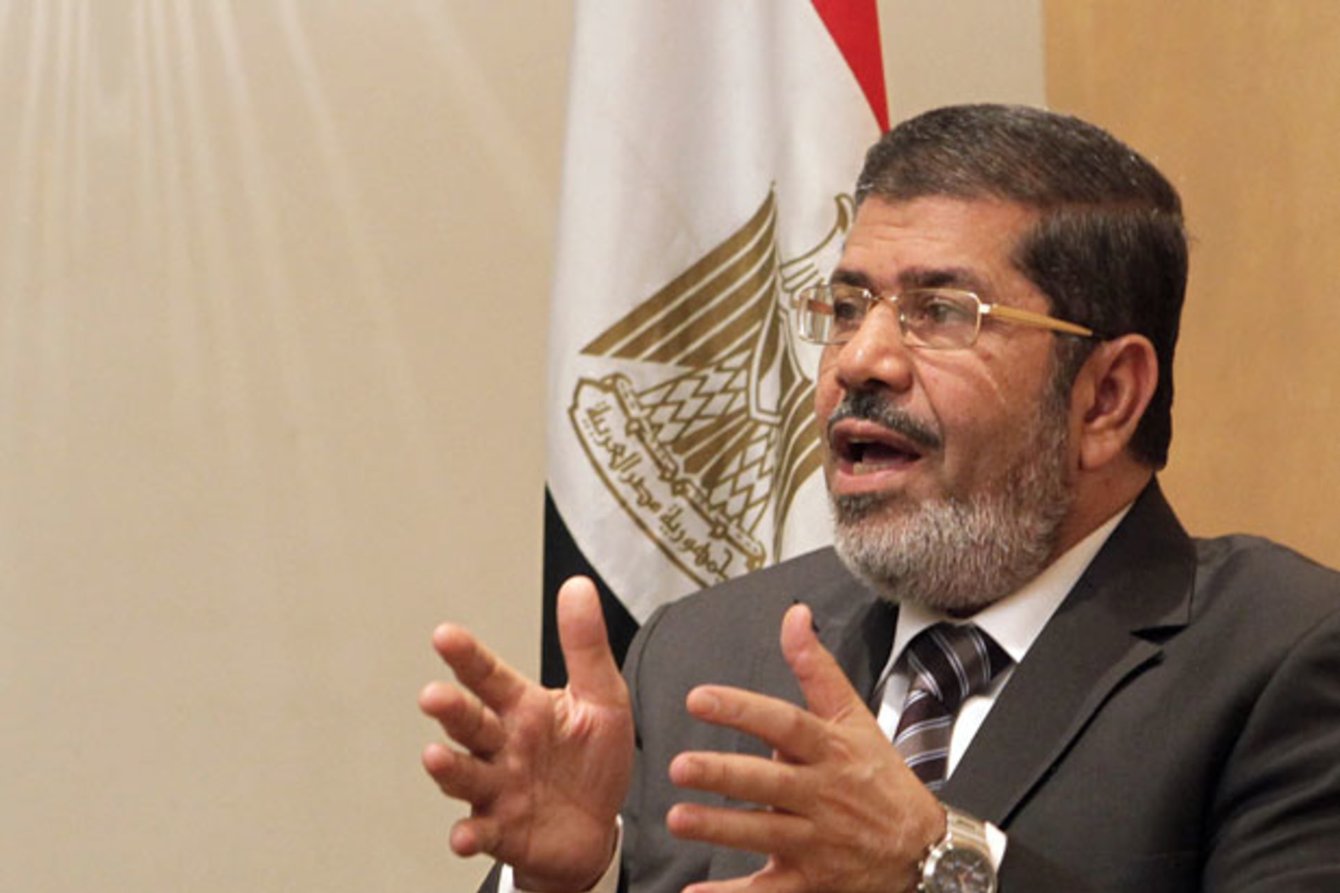 Egypt-Constitutional-Princi