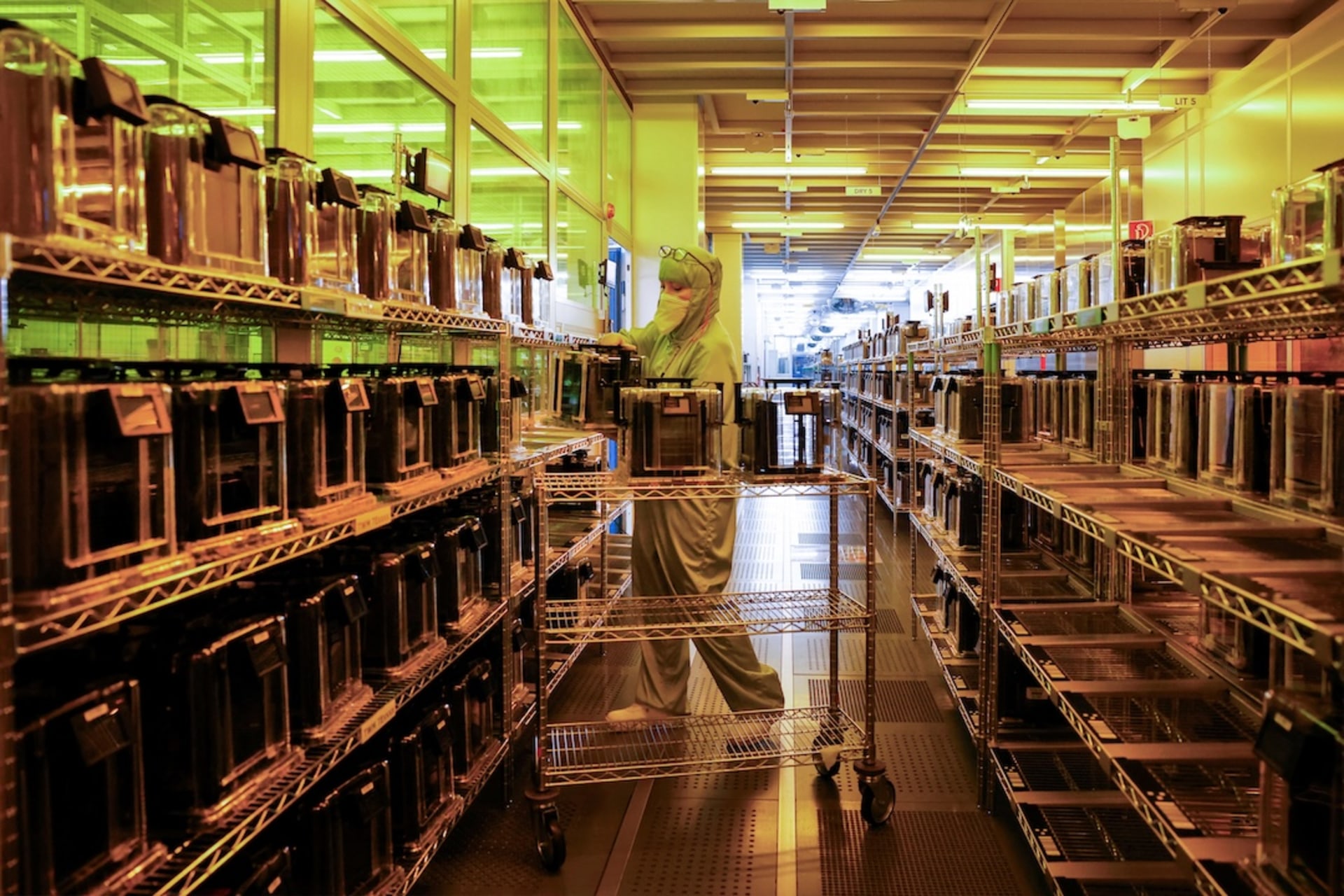 <p>A worker works at NXP semiconductors computer chip fabrication plant in Nijmegen, Netherlands March 14, 2024. </p>
