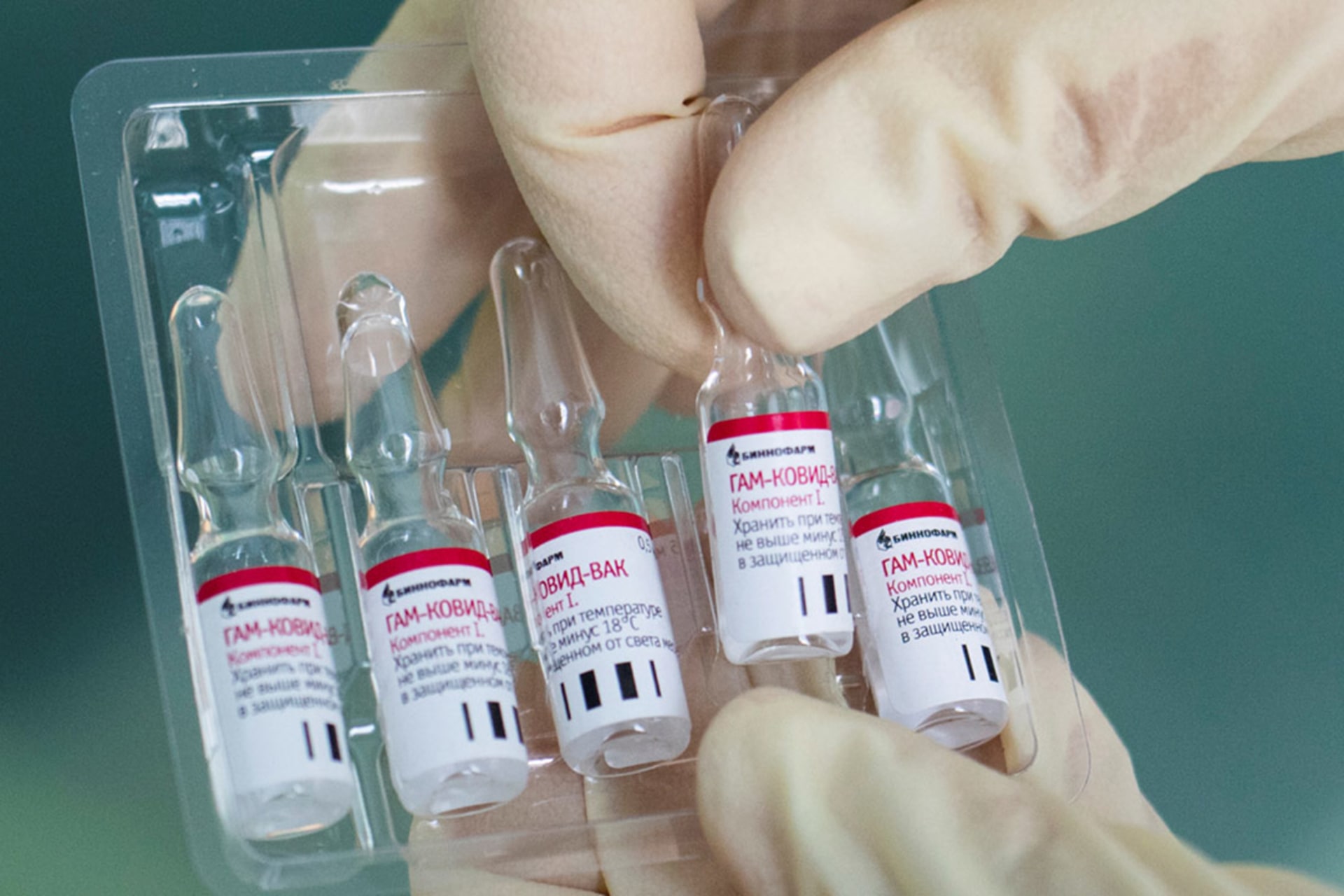 The Path to a COVID-19 Vaccine