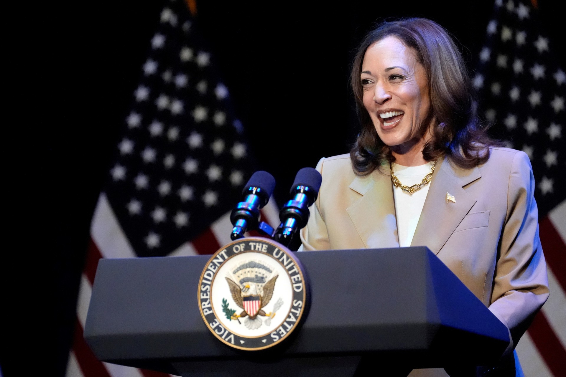 <p>U.S. Vice President Kamala Harris delivers remarks at a campaign event in Pittsfield, Mass., U.S., July 27, 2024.</p>