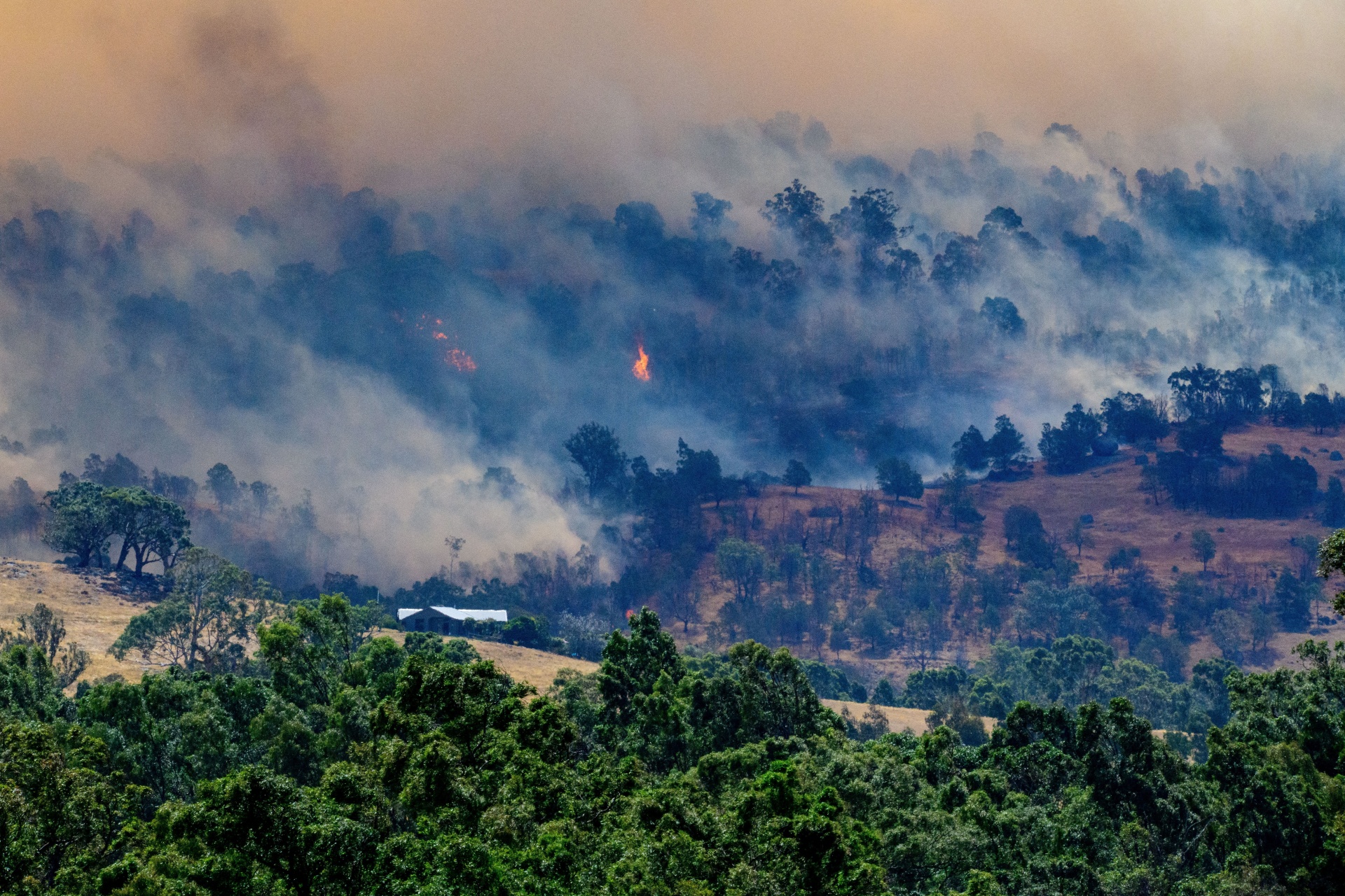 Smoke rises from a burning forest on a hillside behind a home near Longwood as bushfires continue to burn under severe fire weather conditions in Longwood