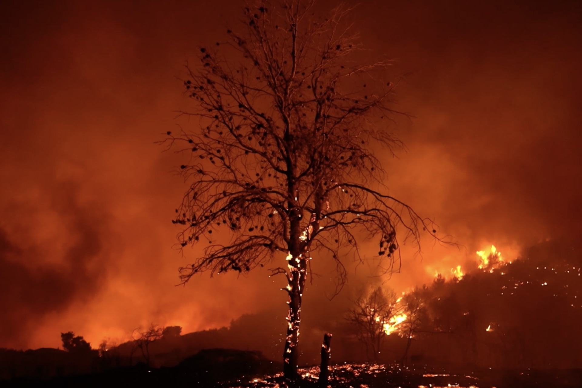 <p><span class="large-caption">ATHENS, GREECE: A wildfire outbreak in August 2024 forced thousands of people to flee their homes.</span> <span class="immersive-intro__figcaption-credit">Bloomberg/Getty Images</span></p>
