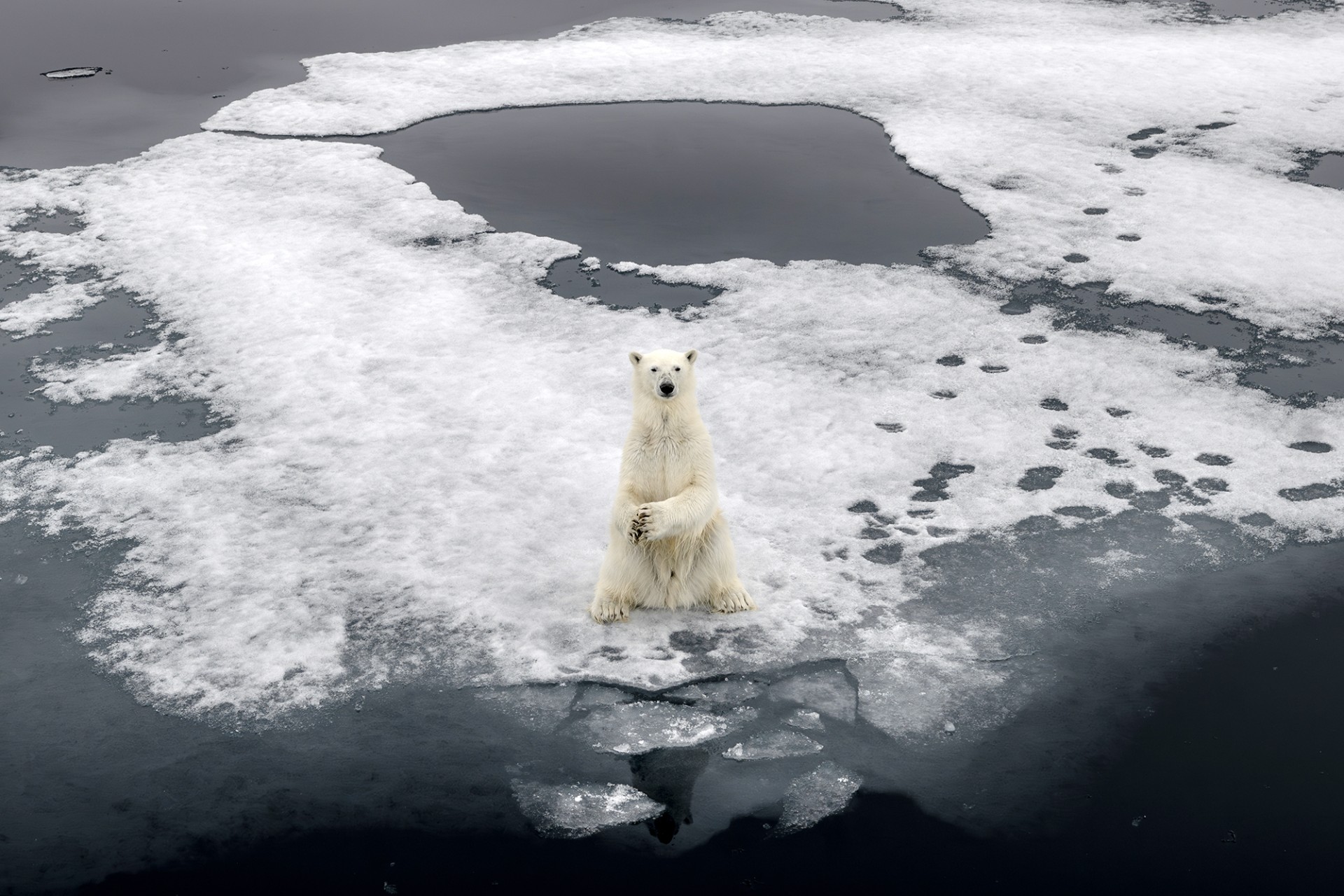 <p>SVALBARD, NORWAY: Climate change poses a significant threat to the habitats of Arctic wildlife species including caribou and polar bears. <span class="immersive-image__figcaption-credit">Sebnem Coskun/Anadolu Agency/Getty Images</span></p>
