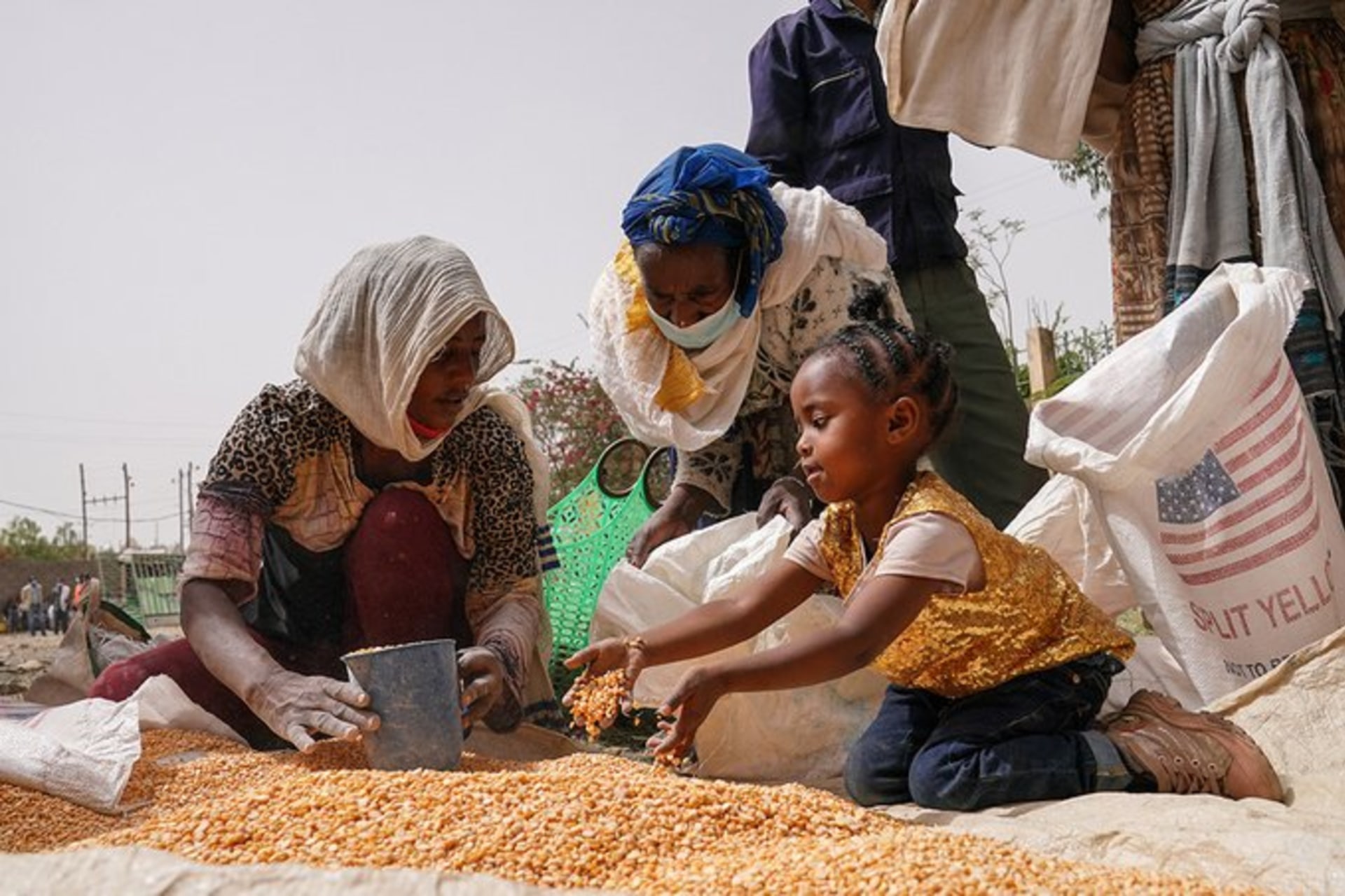 <p>ETHIOPIA: Heat has increased the need for food aid in the crisis-stricken Tigray region, pictured in June 2021. <span class="immersive-image__figcaption-credit">Jemal Countess/Getty Images</span></p>
