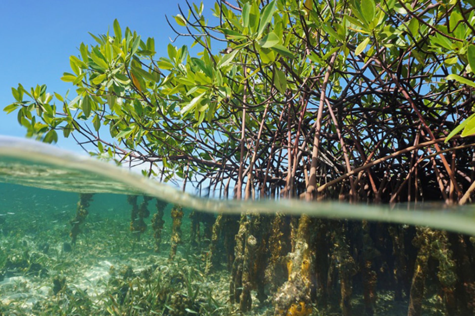 Building Climate Resilience