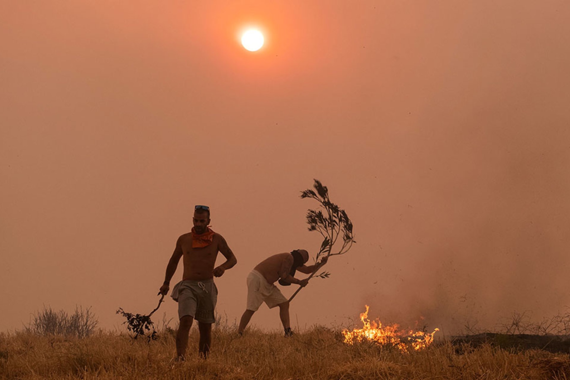 Forest Fires In Greece