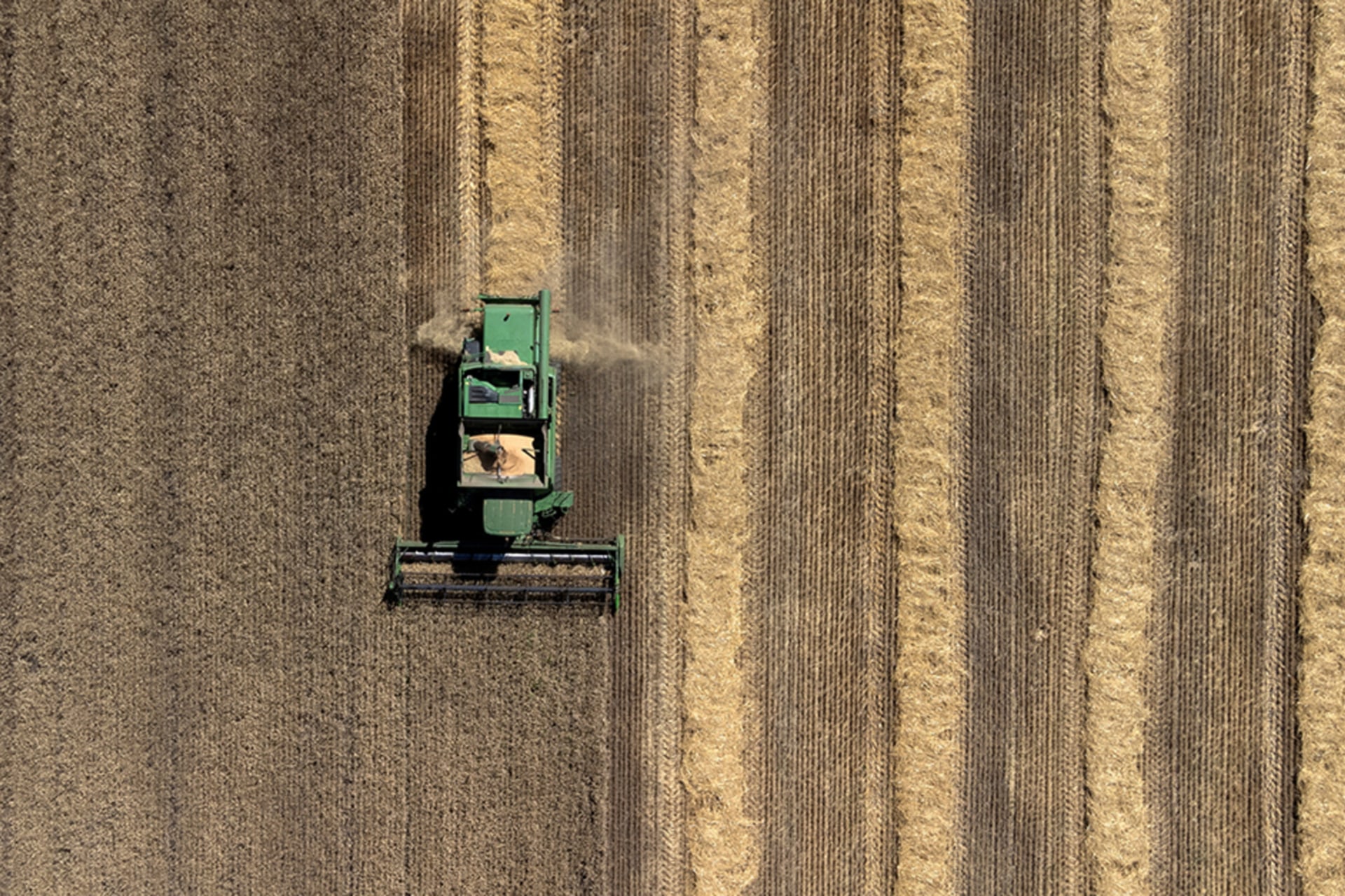 A combine harvests a wheat field, as Russia's attack on Ukraine continues, in Dnipropetrovsk region