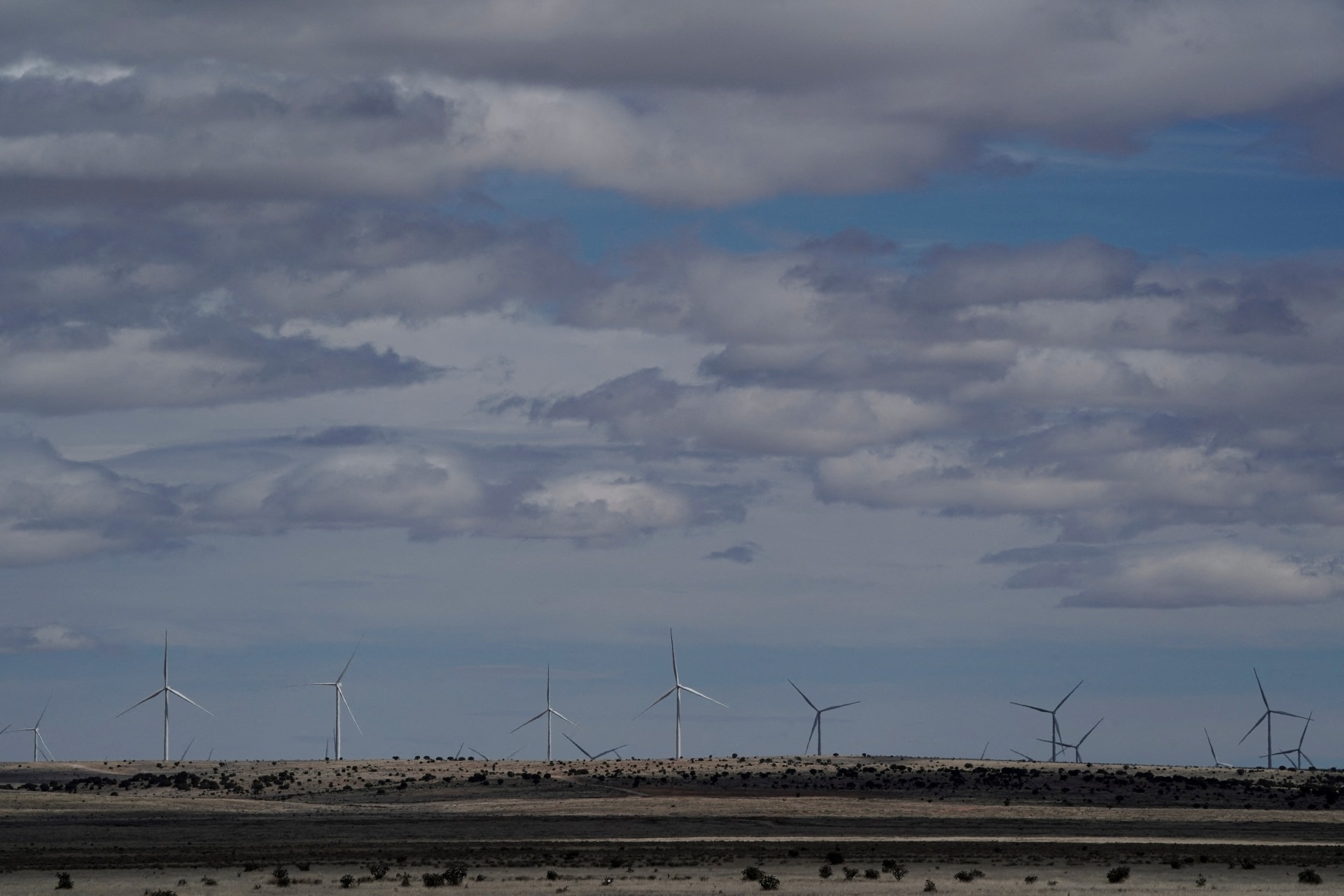 A general view of wind turbines.