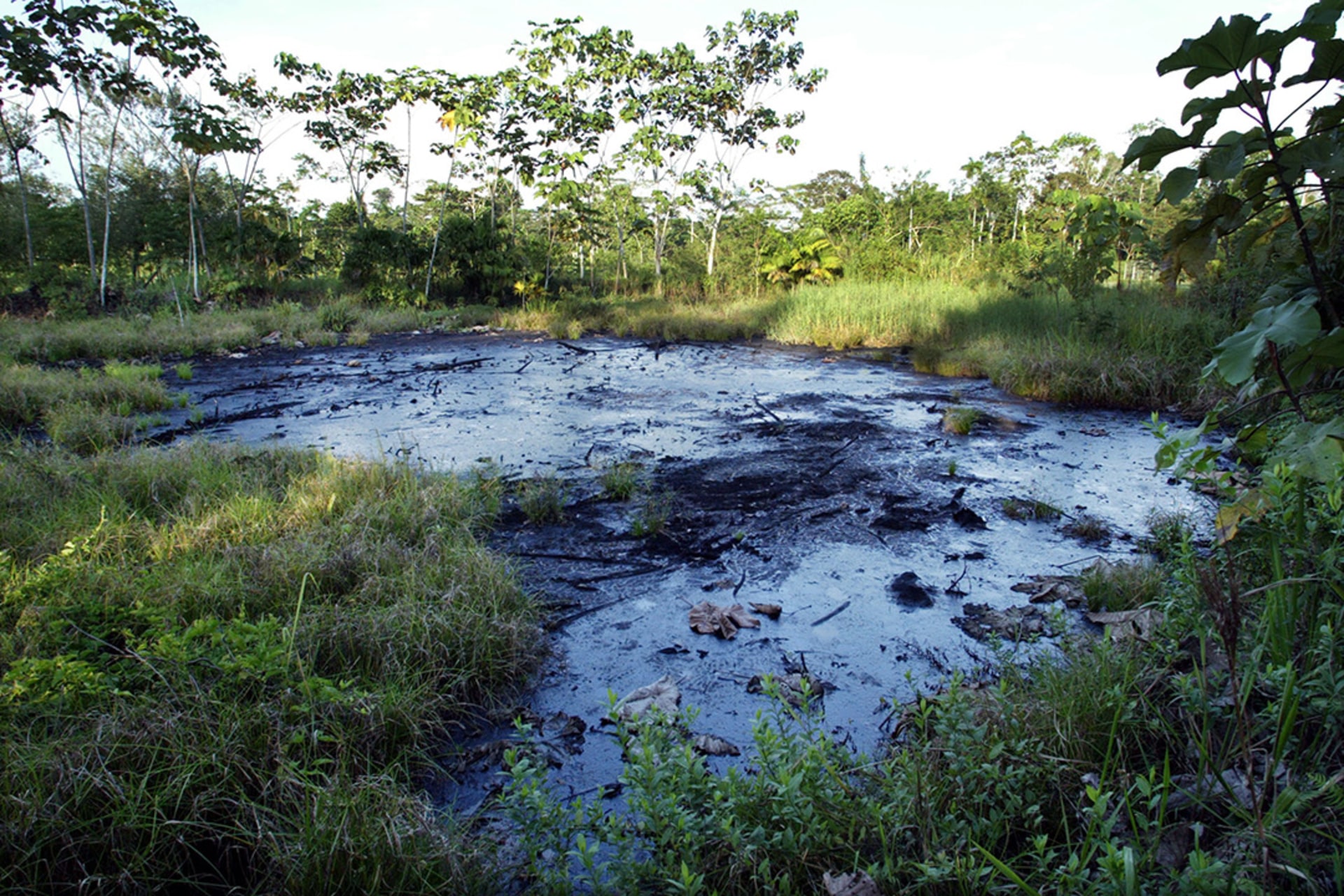 A waste pit filled with crude oil left by Texaco drilling operations years earlier lies near the Amazonian town of Sacha, Ecuador, October 21, 2003. 
