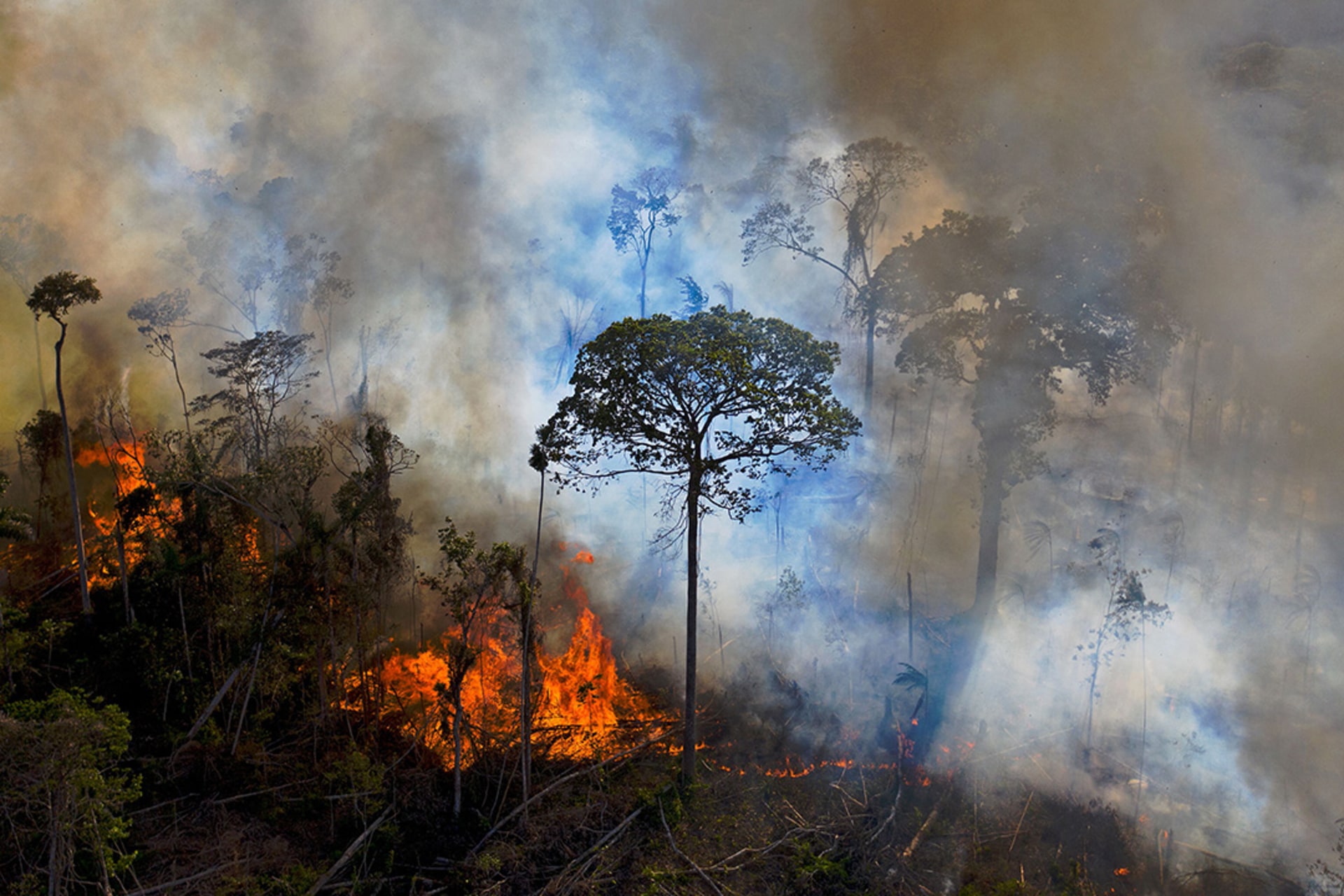 An illegally lit fire burns in the Amazon Rainforest, south of Novo Progresso in Para State, Brazil, on August 15, 2020. 